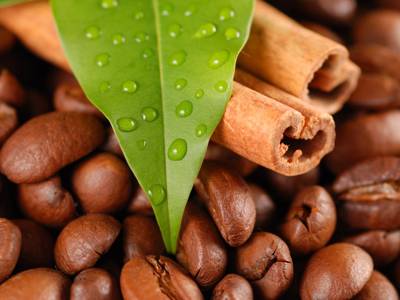 Download mobile wallpaper Food, Cinnamon, Drops, Leaves, Coffee for free.