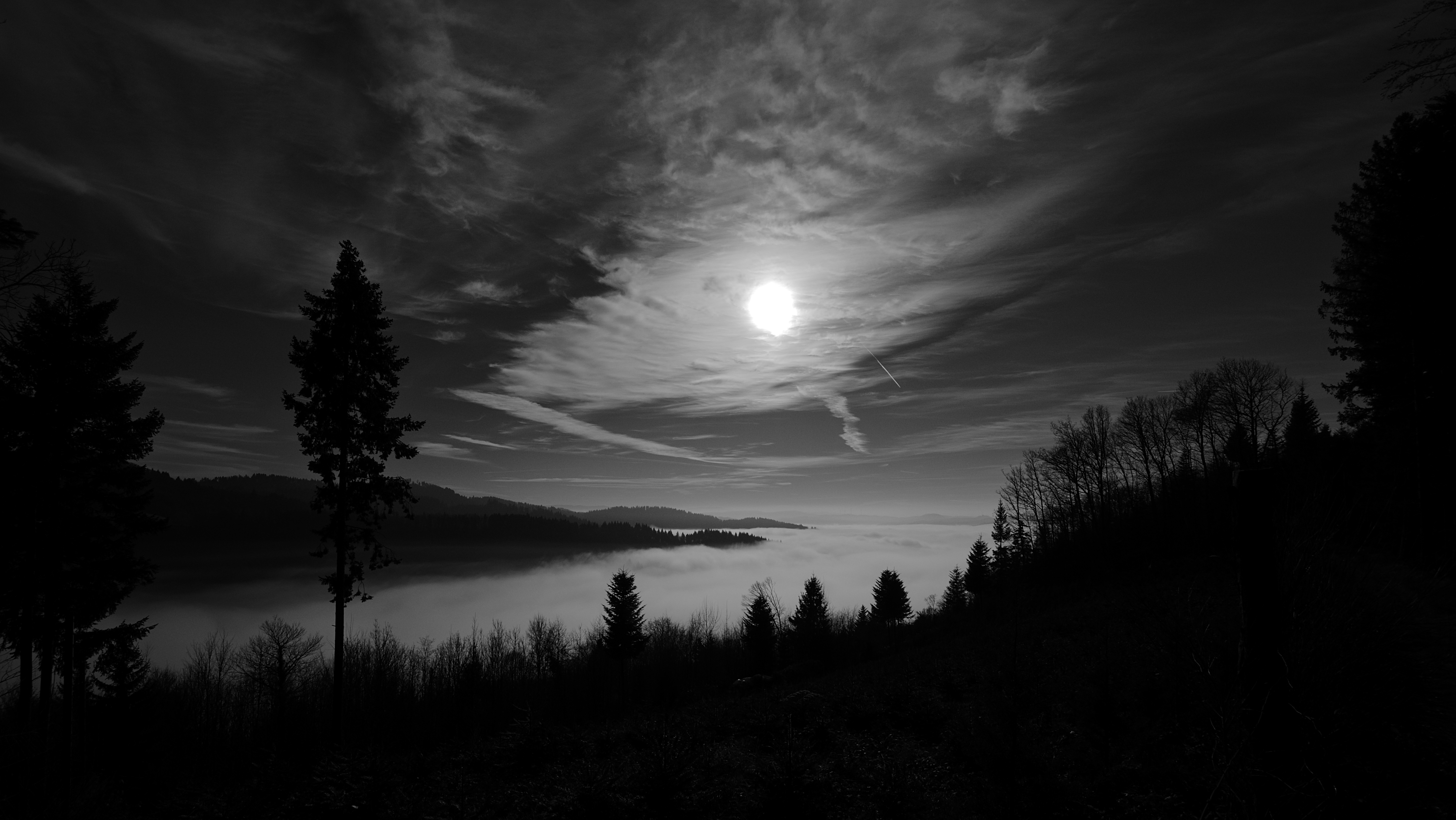 Download mobile wallpaper Forest, Trees, Chb, Sky, Nature, Bw, Moon for free.