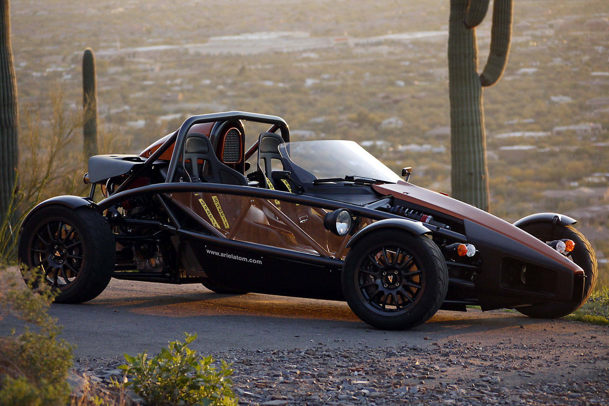 Ariel Atom 4 С„РѕС‚Рѕ