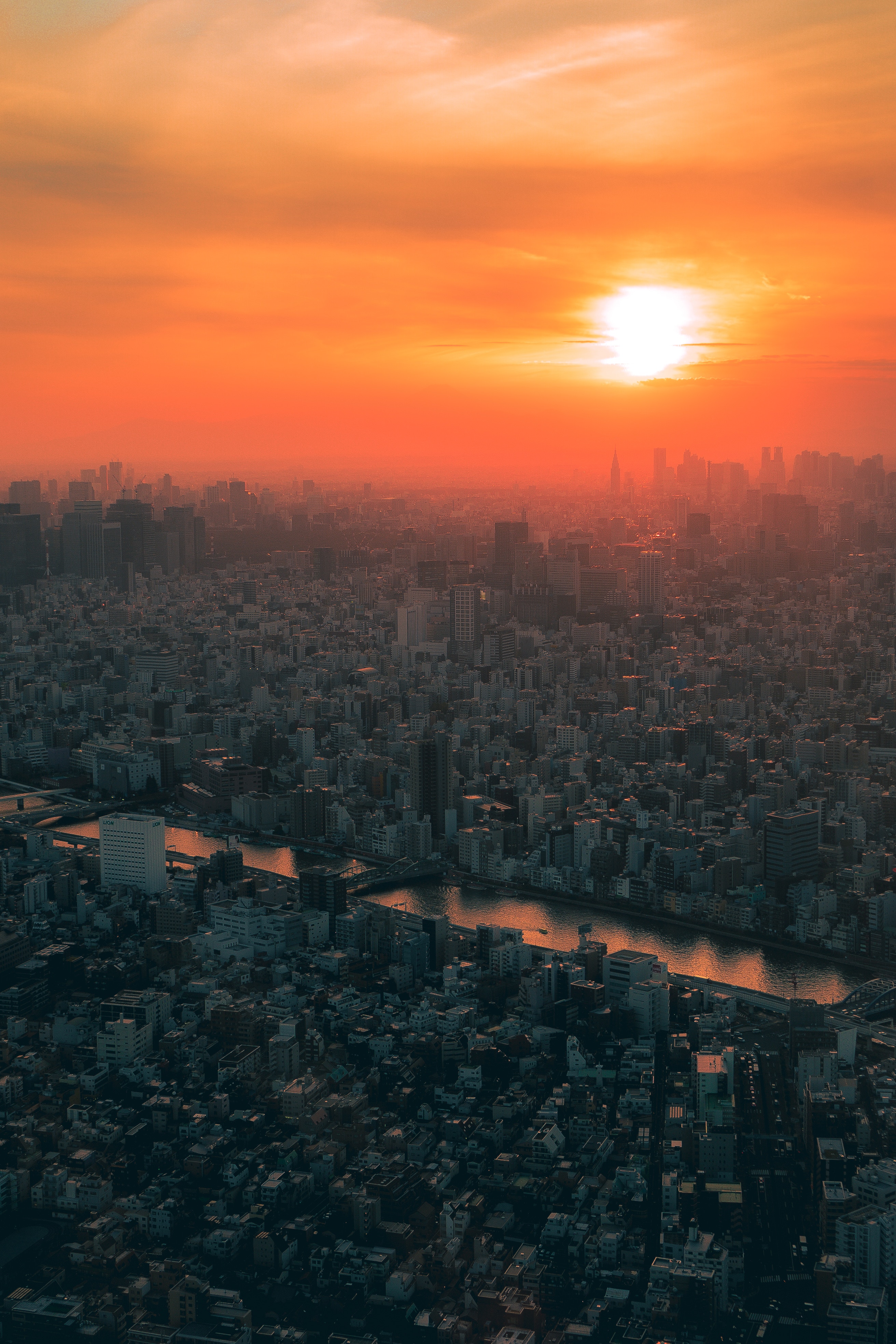 Mobile wallpaper tokyo, view from above, japan, cities, sunset, city, fog