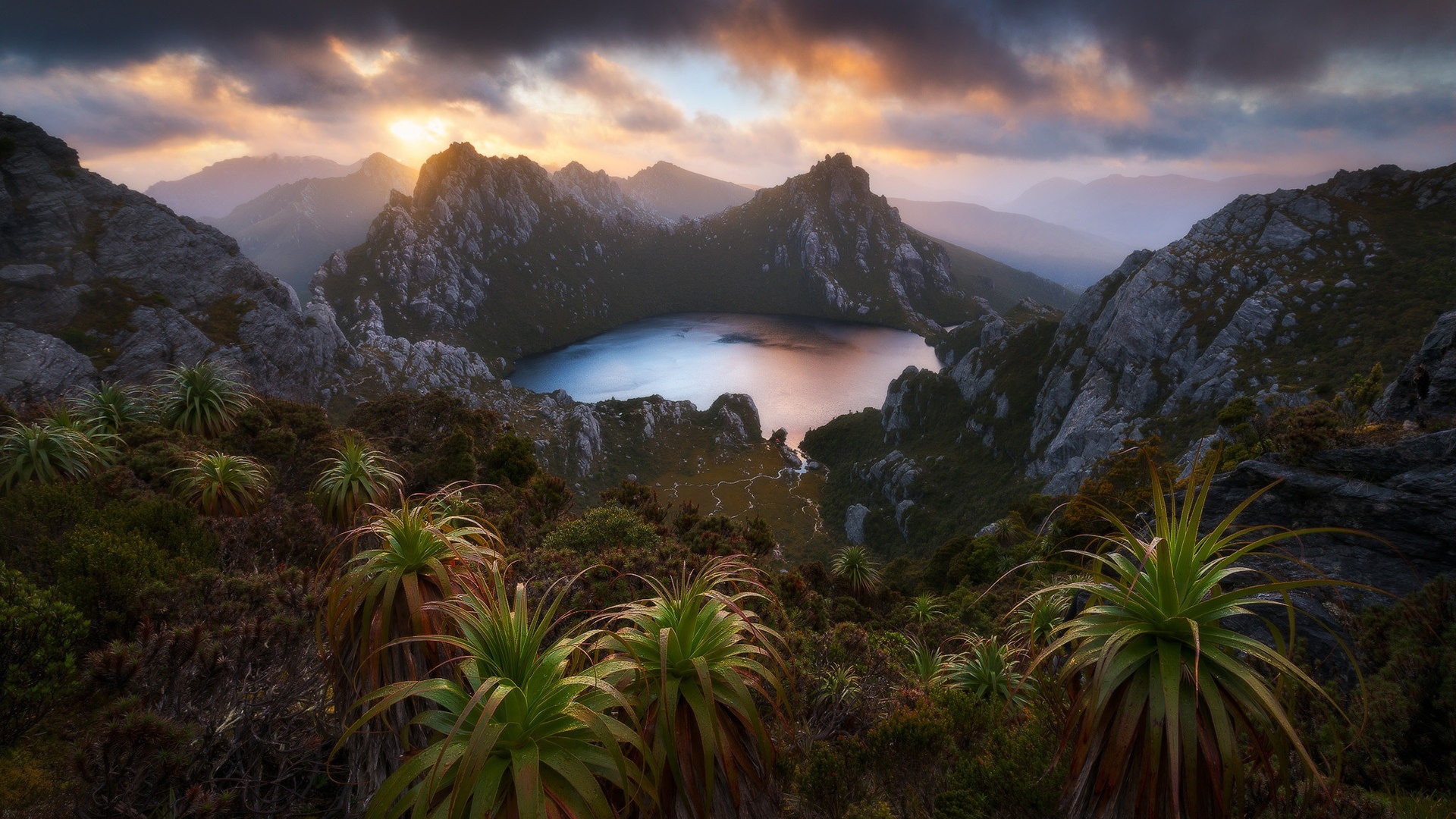 933403 Bildschirmschoner und Hintergrundbilder Tasmanien auf Ihrem Telefon. Laden Sie  Bilder kostenlos herunter