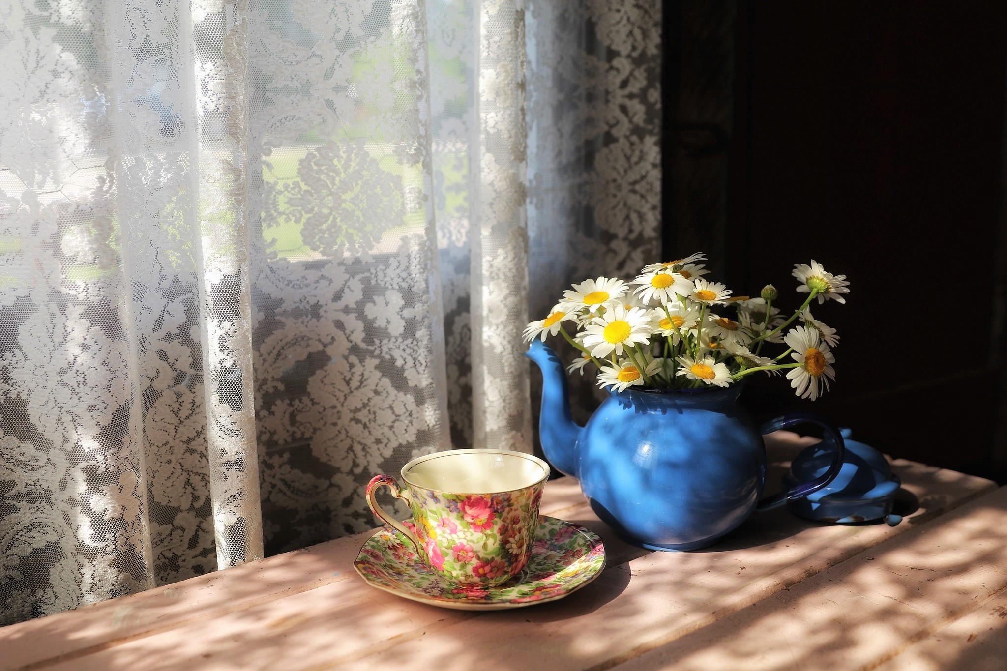 photography, still life, cup, curtain, daisy, flower, saucer, teapot, white flower Smartphone Background