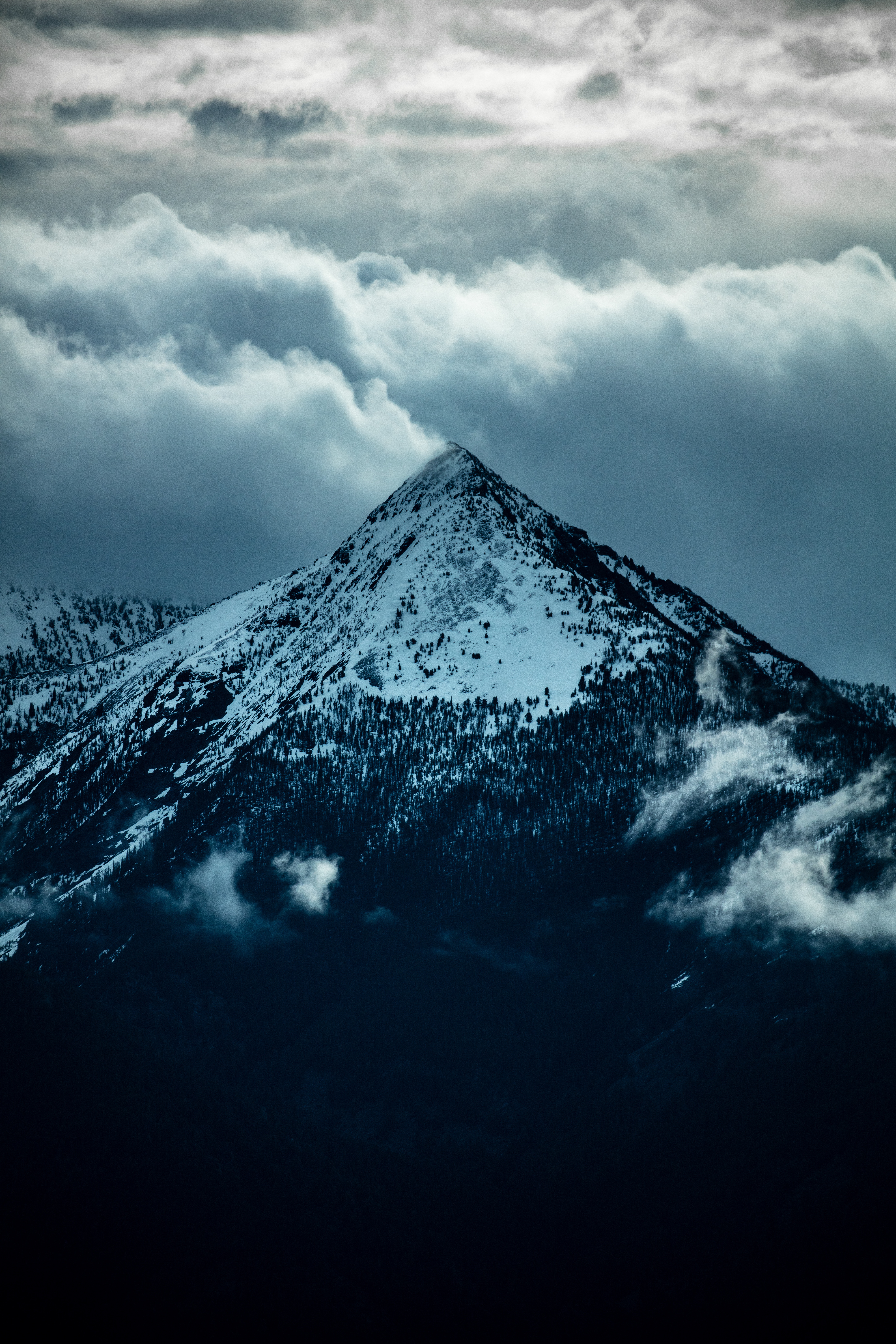 136641 скачать картинку вершина, природа, деревья, облака, снег, гора, склон - обои и заставки бесплатно