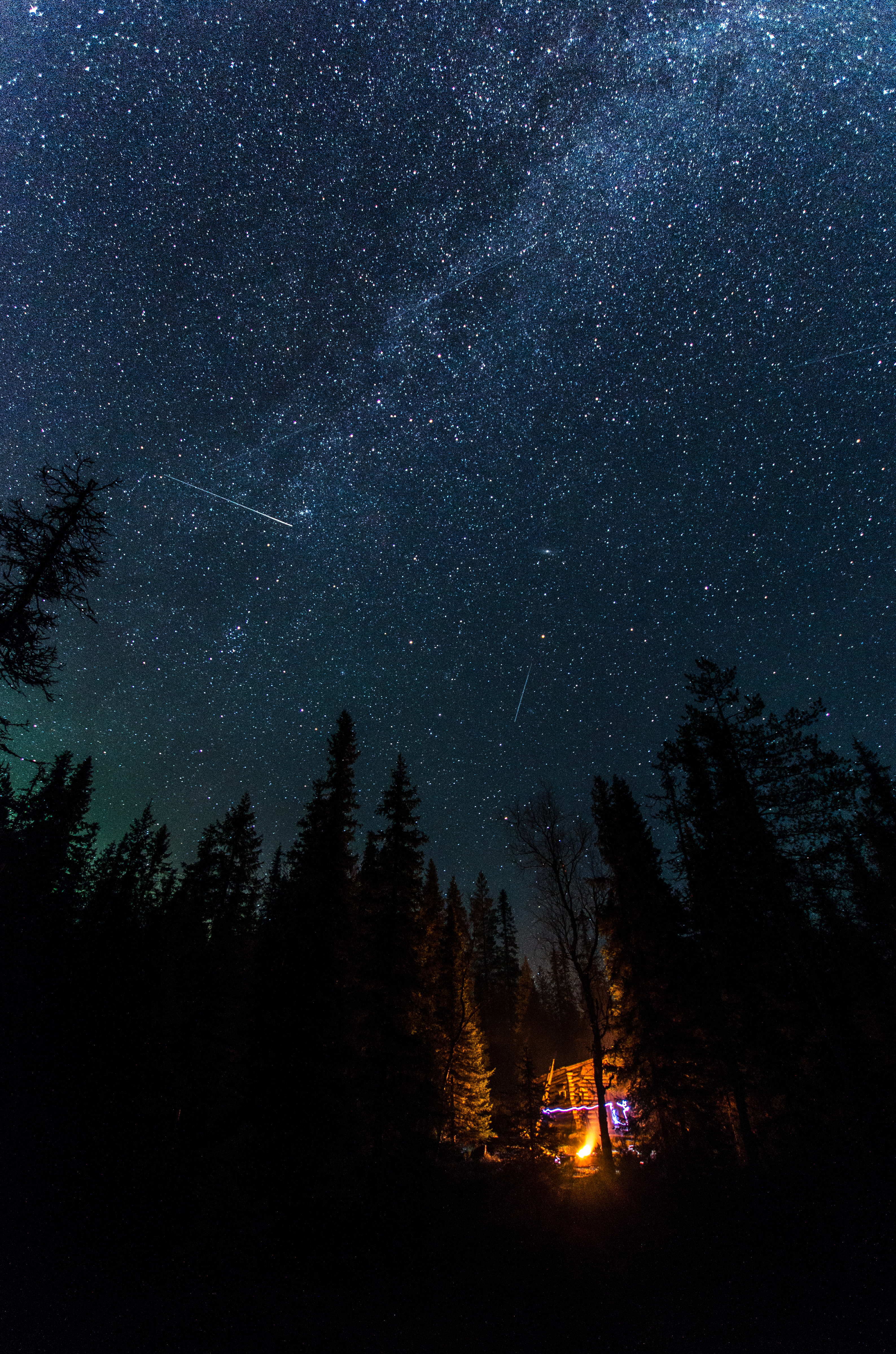 vertical wallpaper stars, starry sky, fir, dark, bonfire, night, spruce