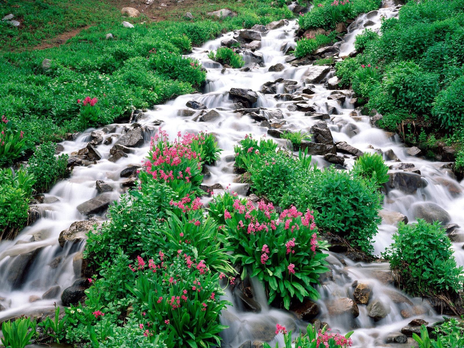 Download mobile wallpaper Flowers, Mountain River, Vegetation, Greens, Stones, Nature for free.