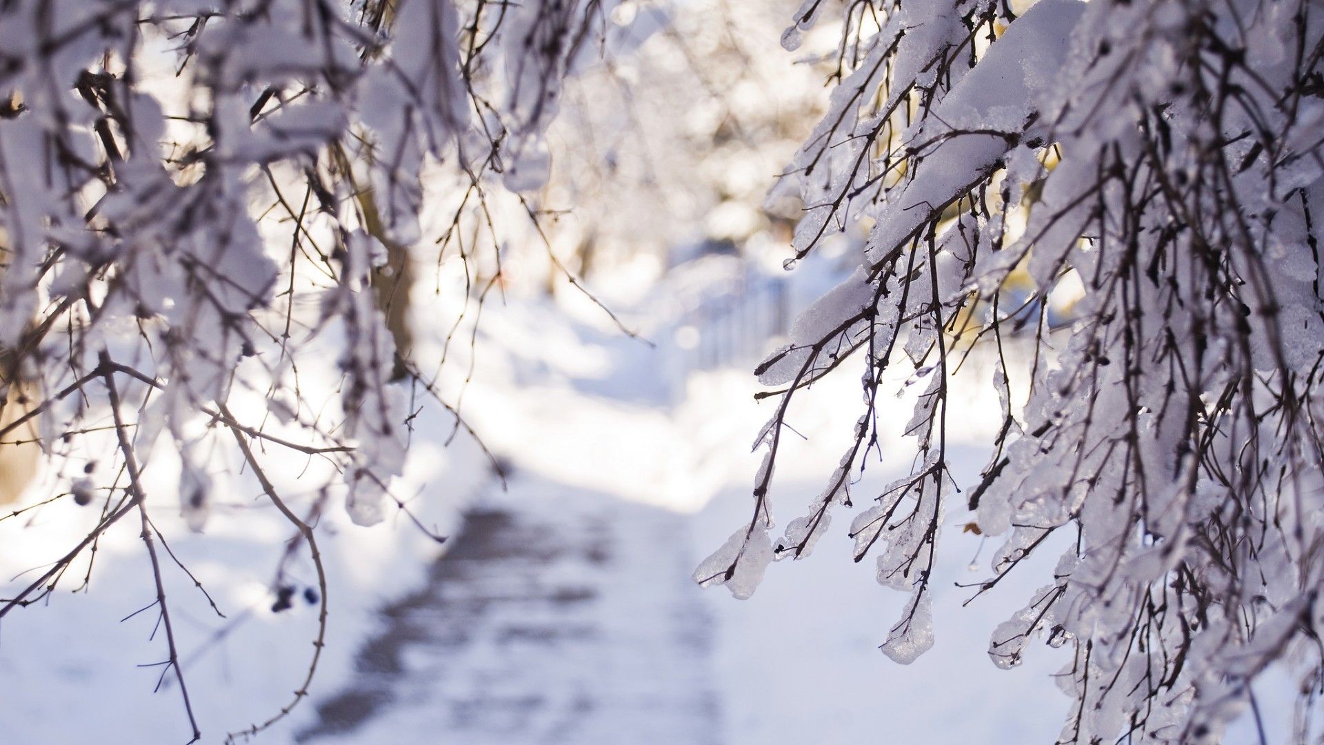 Скачать картинку Снег, Пейзаж, Деревья, Зима в телефон бесплатно.