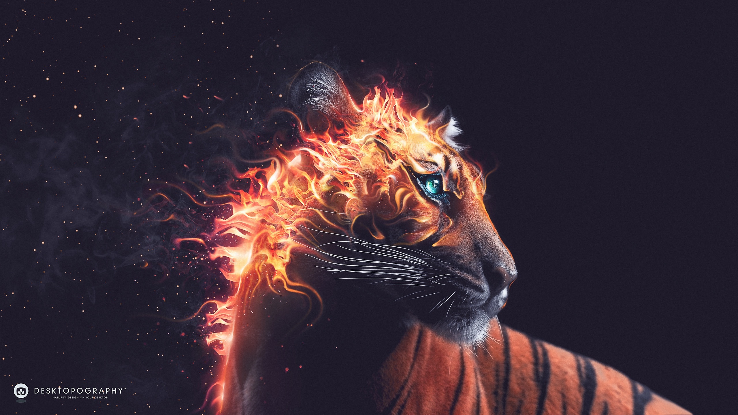 Тигр в огне фото