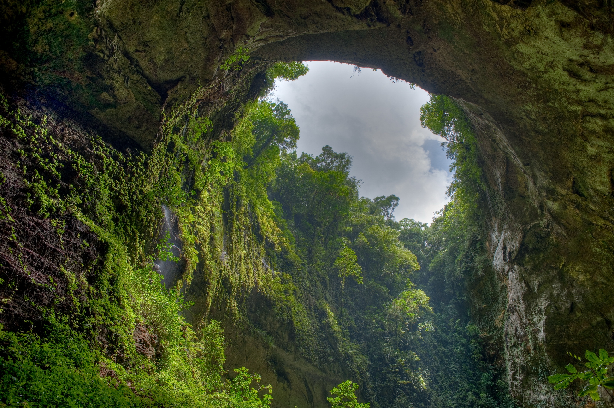 nature, arch, gorge, green, sky, clouds, rock, vegetation, from below HD wallpaper