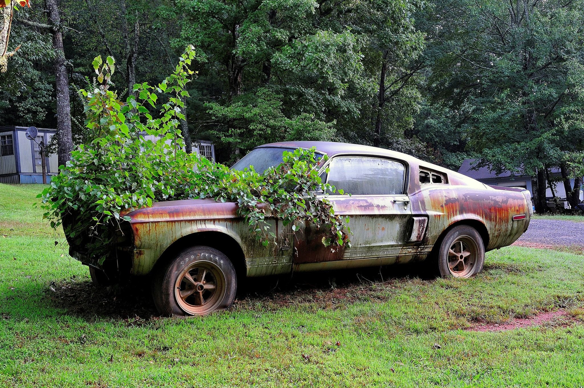 Rust on the car фото 85