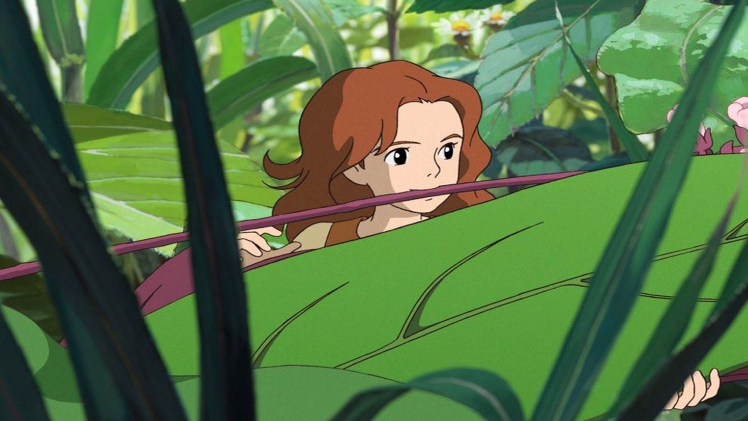 Ариэтти миядзаки. Хаяо Миядзаки Ариэтти. Добывайка Ариэтти. The Secret World of Arrietty аниме. Ариэтти из страны лилипутов.