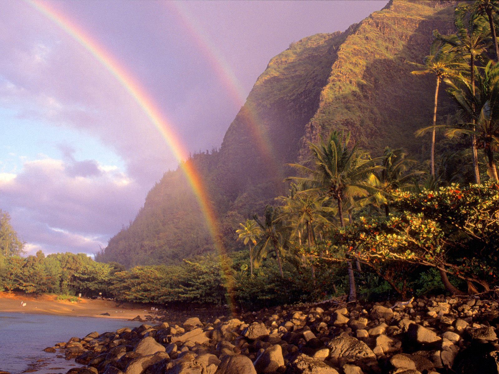 Laden Sie das Regenbogen, Bank, Natur, Stones, Palms, Wolken, Sky, Ufer, Hawaii-Bild kostenlos auf Ihren PC-Desktop herunter