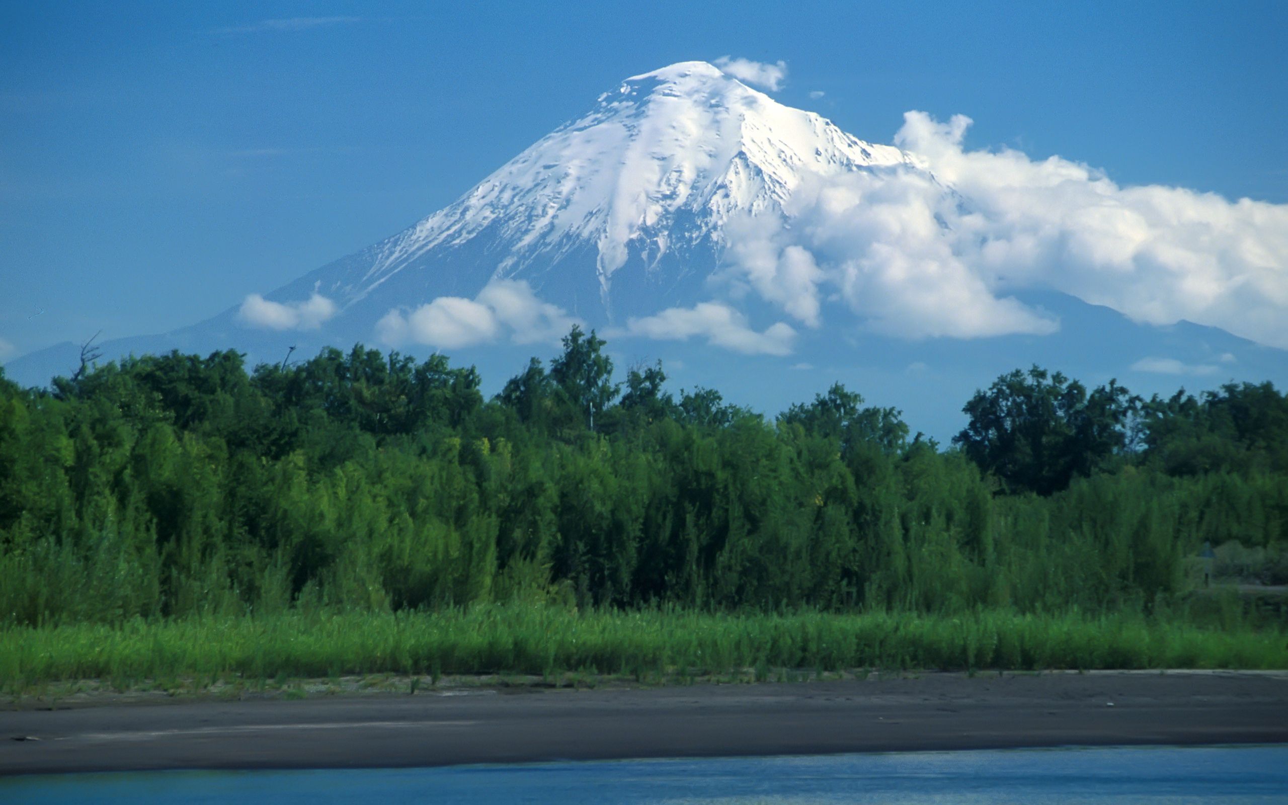 Free download wallpaper Nature, Kamchatka, Forest, Volcano on your PC desktop