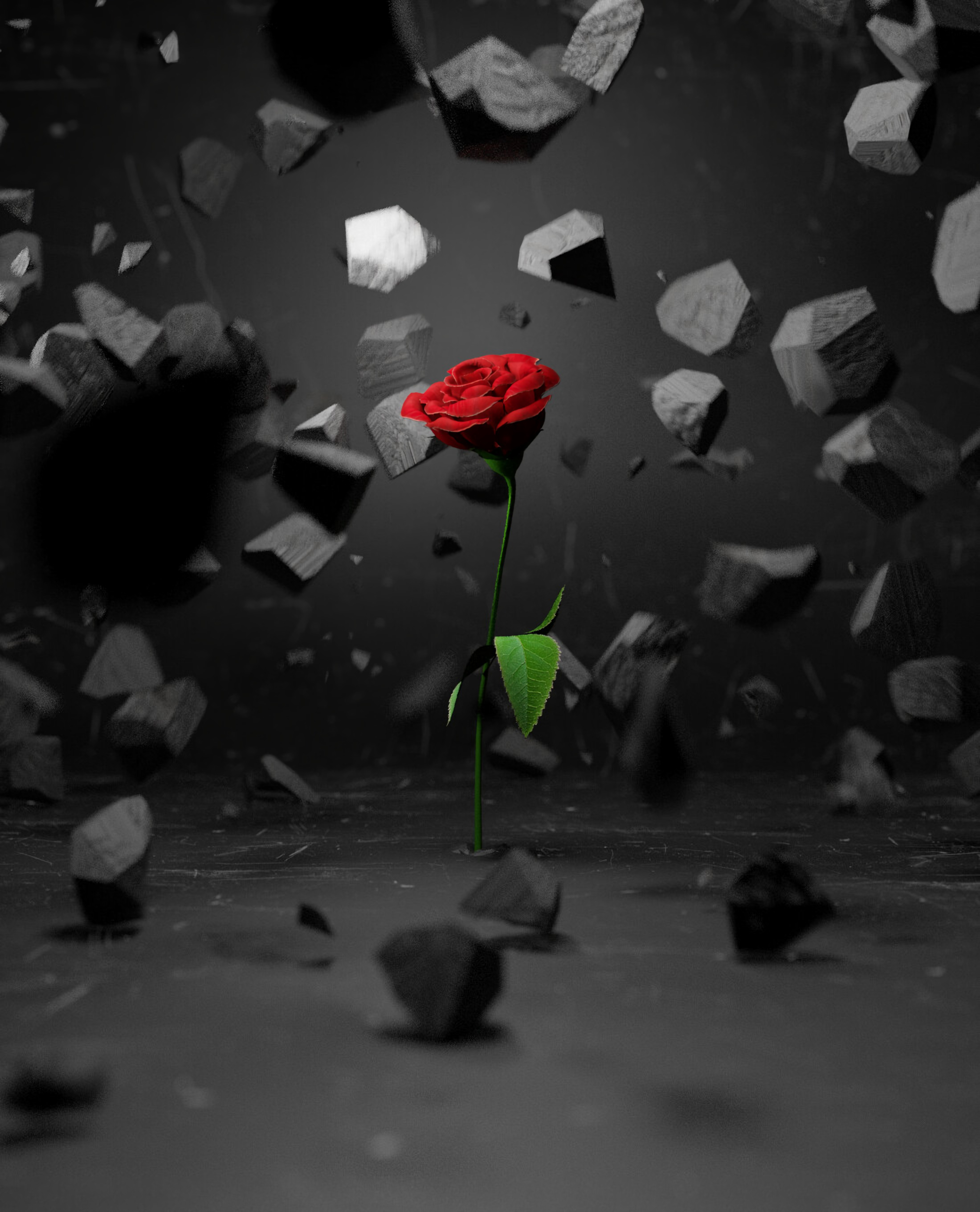 3d, stones, rose, smithereens, rose flower, flower, red, shards cell phone wallpapers