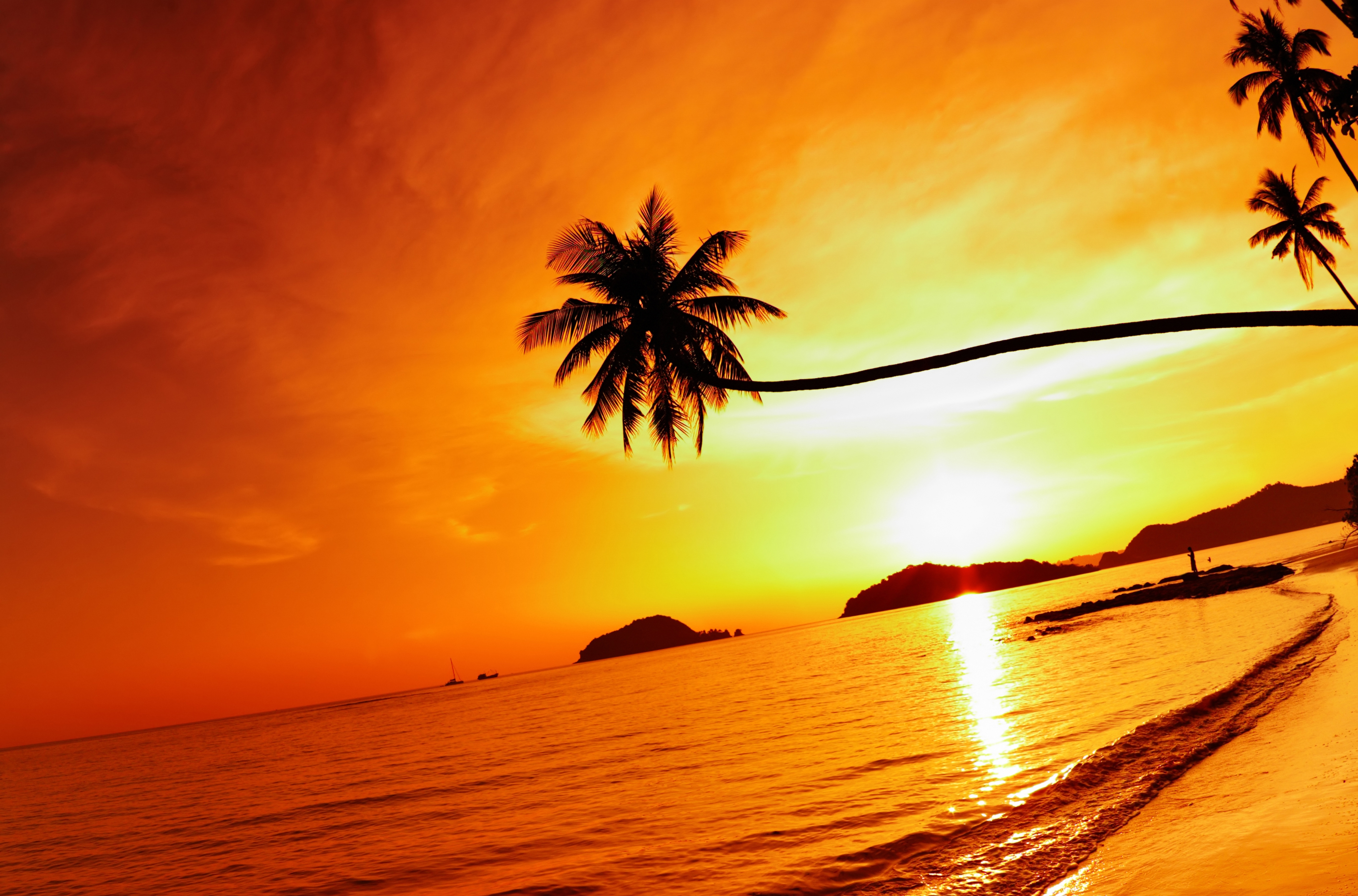 688768 завантажити картинку море, земля, захід сонця, пляжний, пальма, небо, таїланд - шпалери і заставки безкоштовно