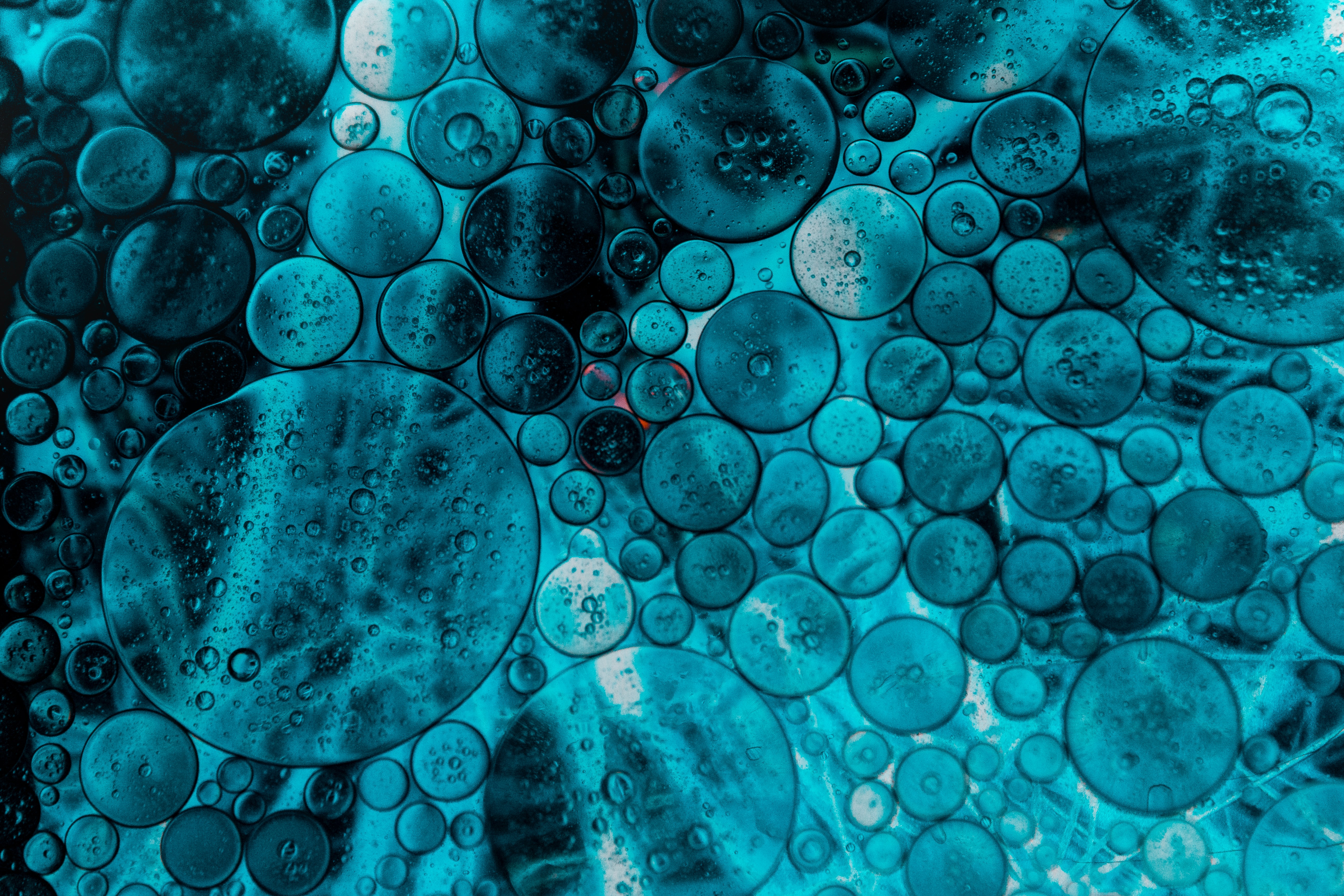Download background blue, bubbles, macro, liquid, butter, oil
