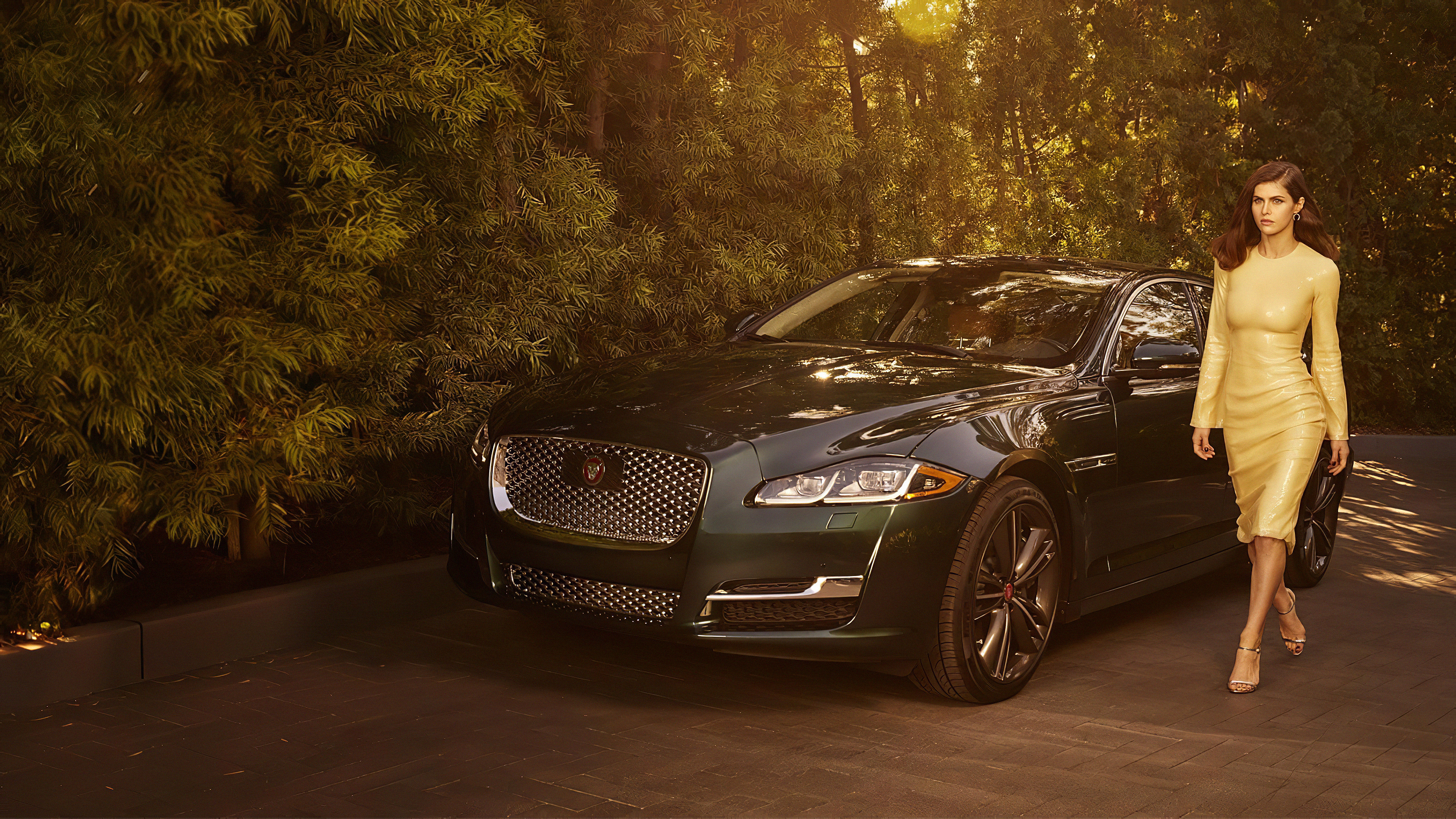 100+] Jaguar Car Wallpapers | Wallpapers.com