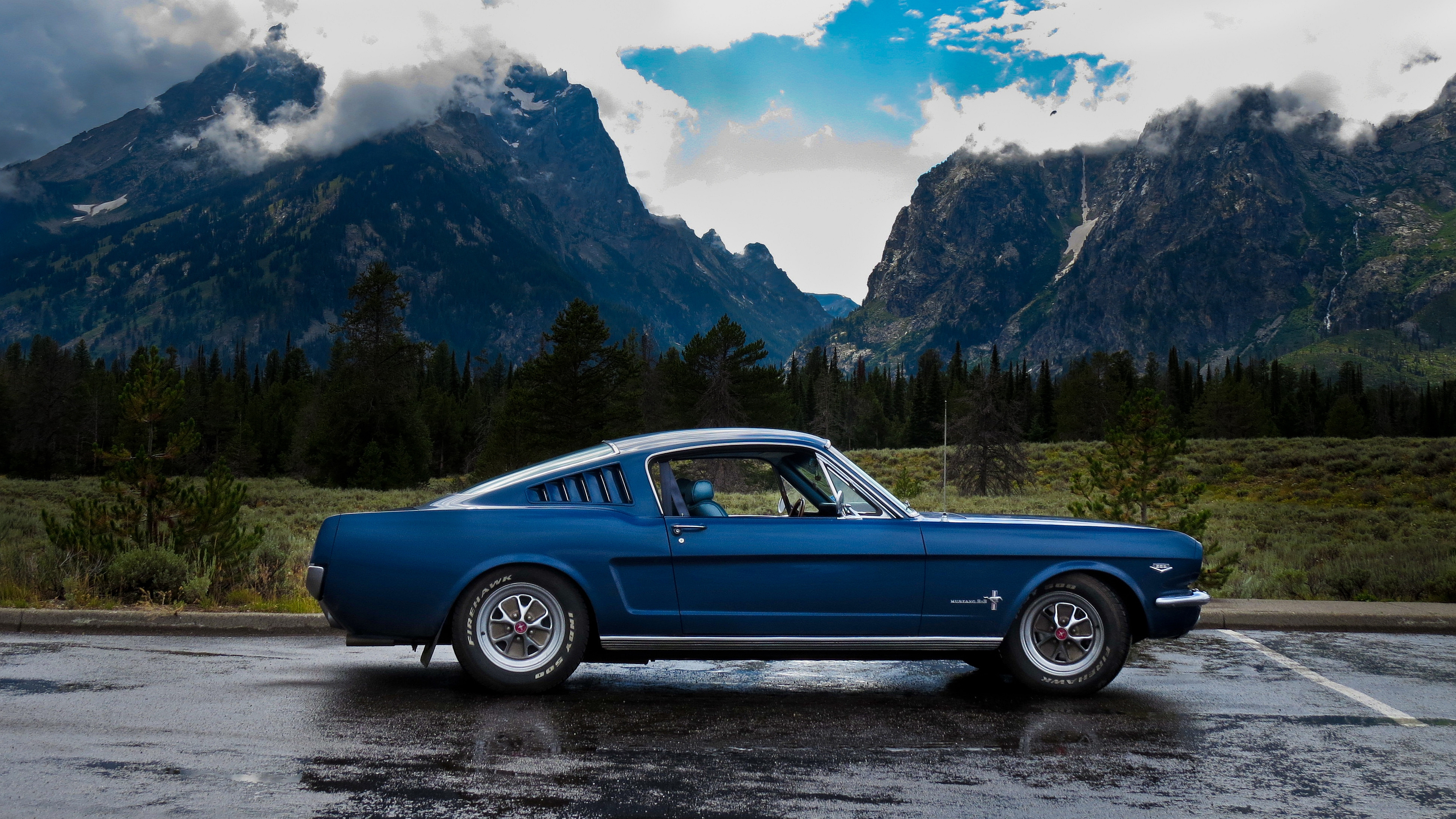 ford mustang fastback, ford mustang, muscle car, fastback, vehicles, ford High Definition image
