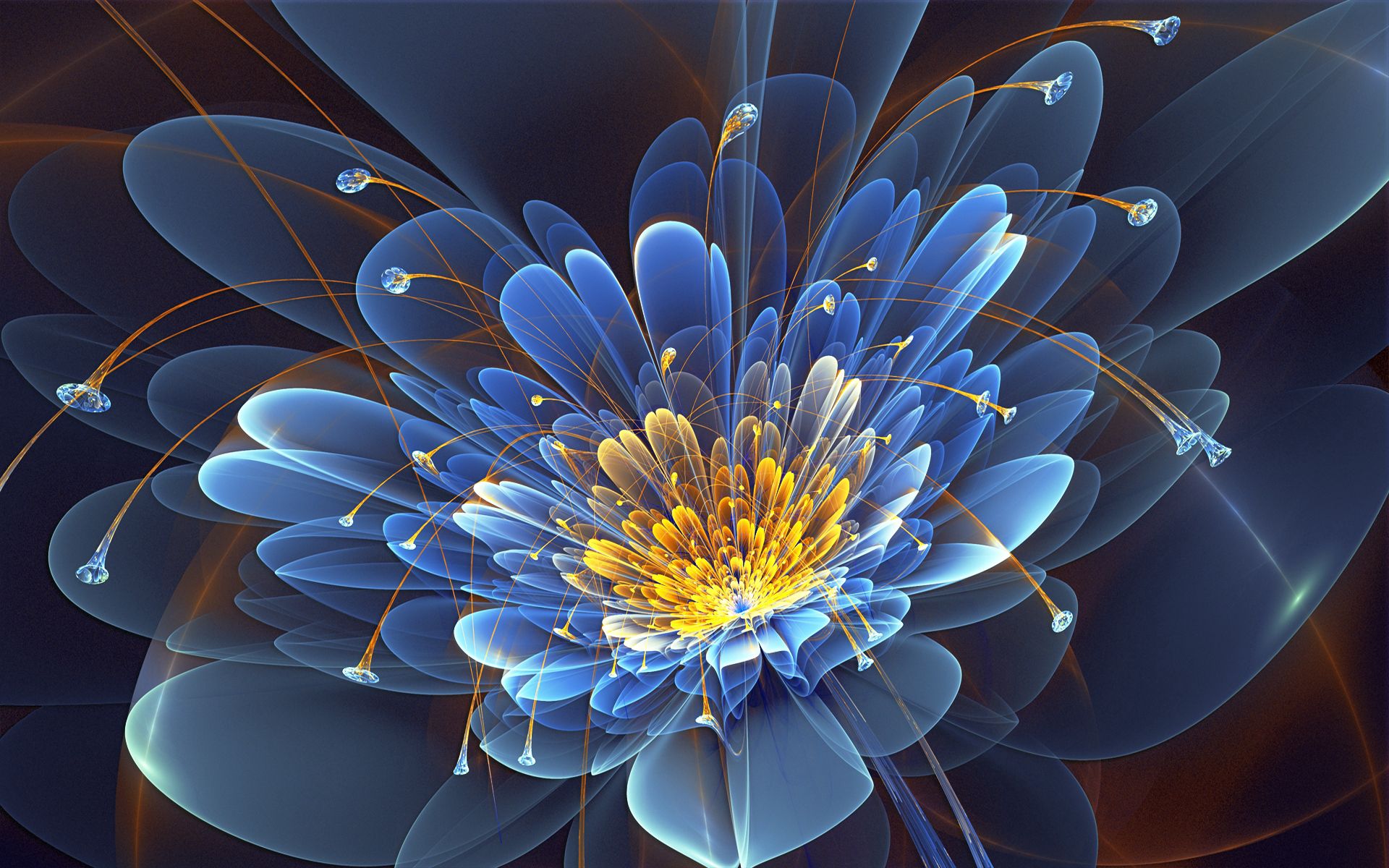 petals, abstract, flower, fractal 5K