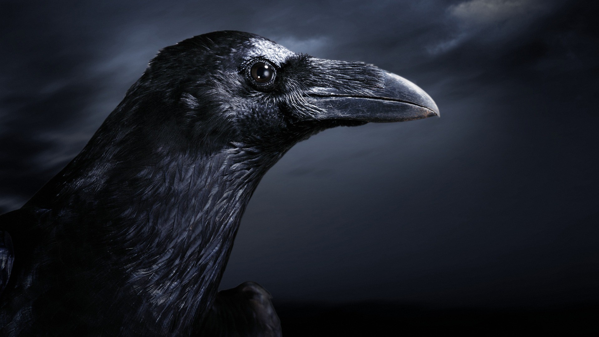 movie, the crow, dark 4K