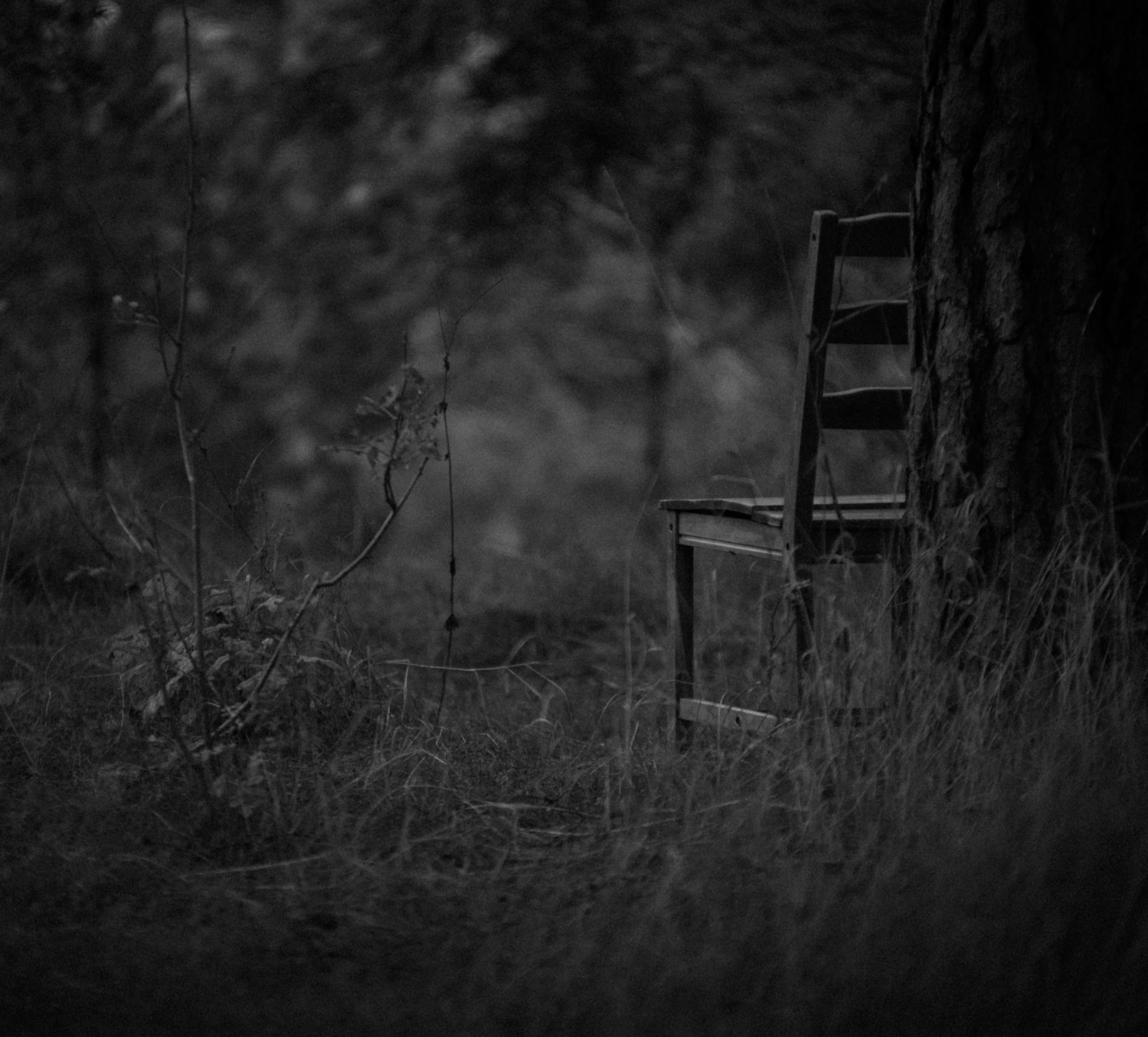 gloomy, minimalism, grass, forest, chair, bw, chb High Definition image