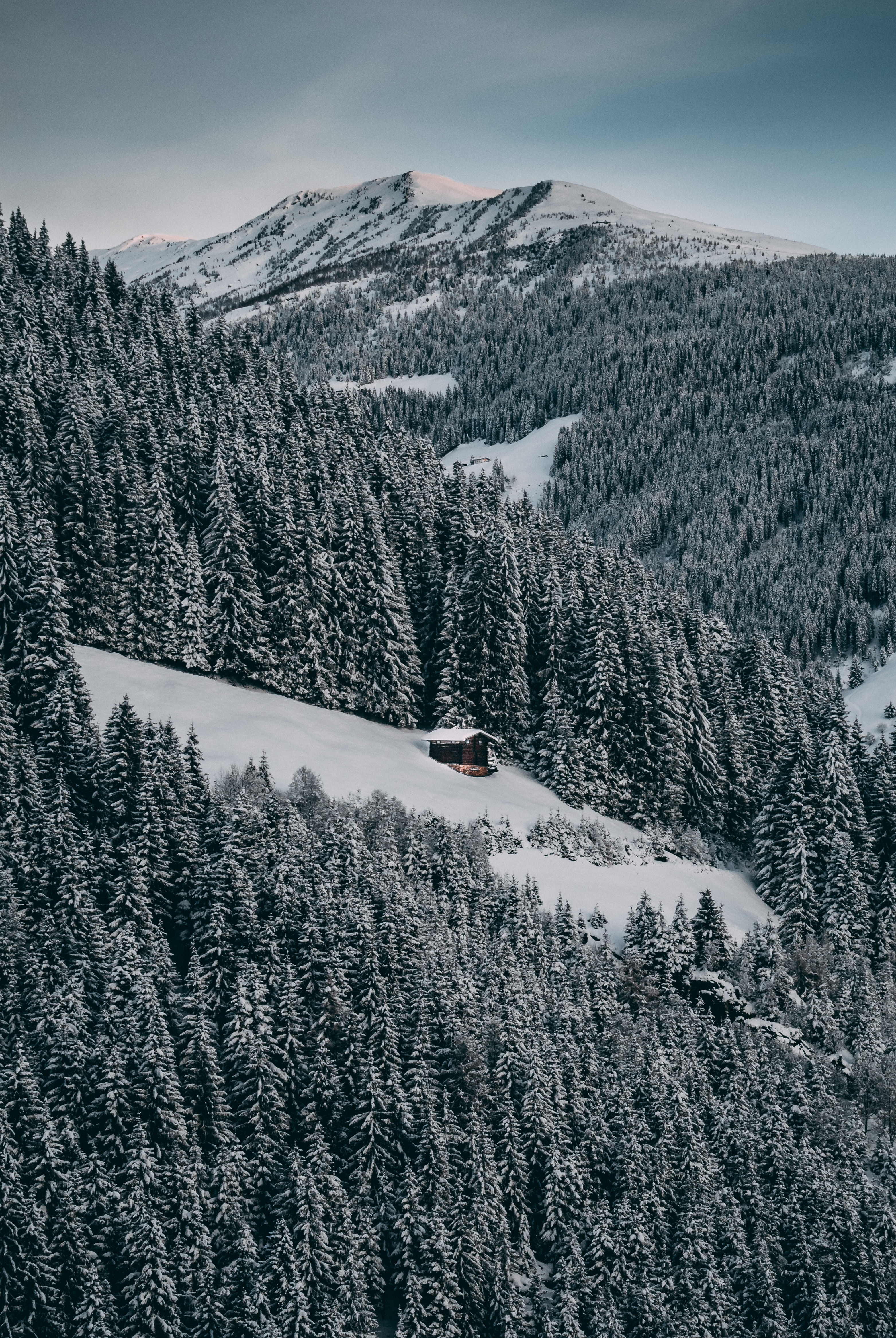 Free HD nature, winter, trees, sky, snow, forest, small house, lodge, elevation