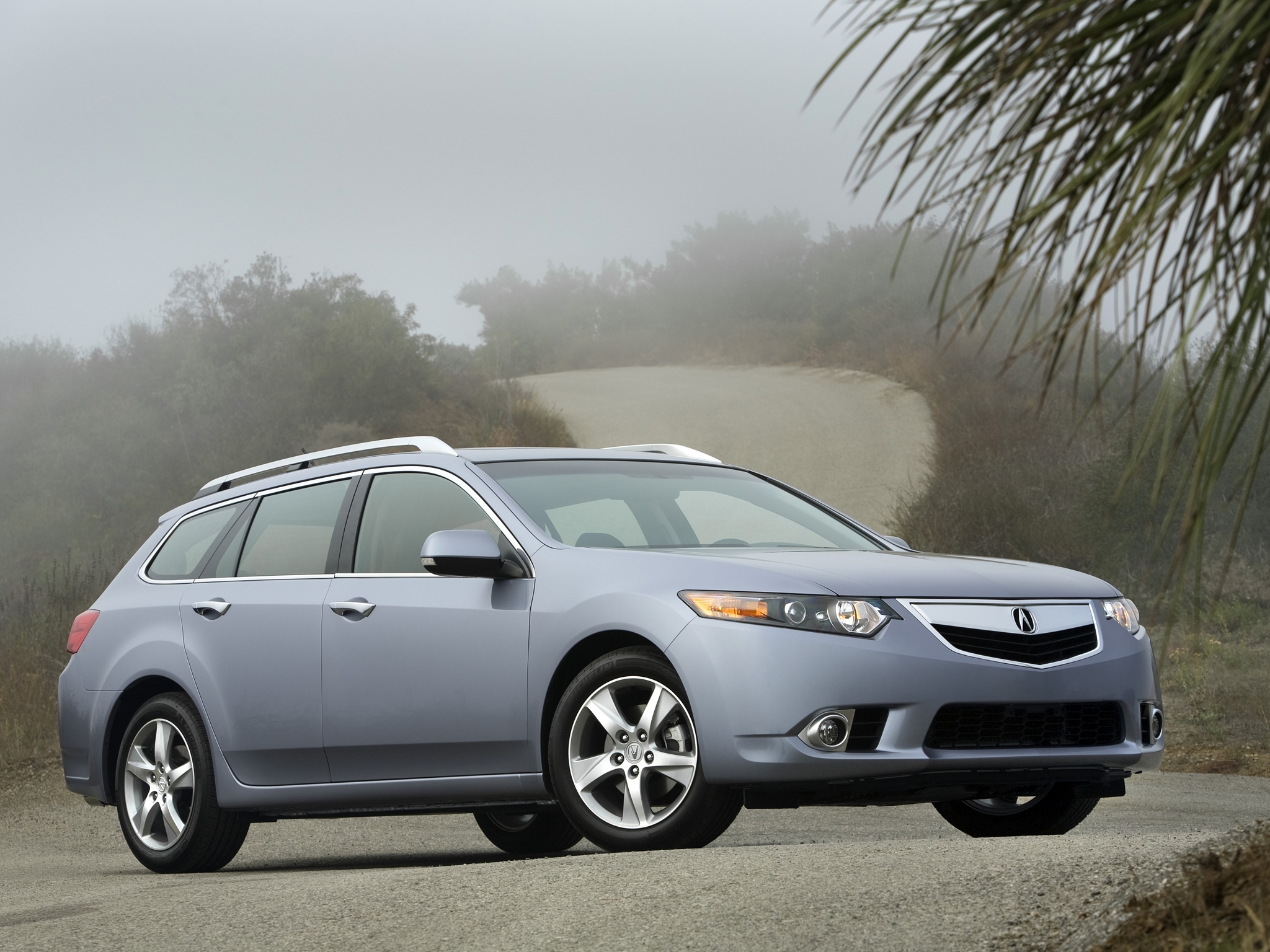 Download mobile wallpaper Akura, 2010, Tsx, Acura, Shrubs, Style, Trees, Side View, Nature, Auto, Cars for free.