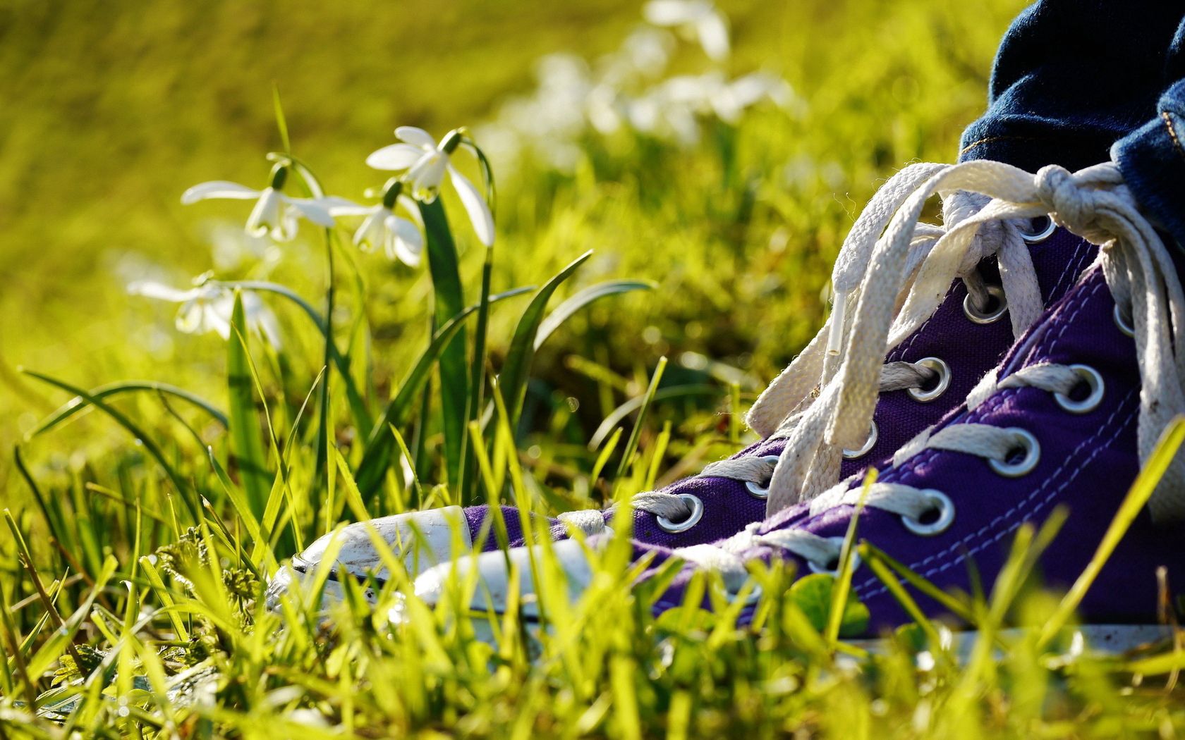 Download mobile wallpaper Grass, Miscellanea, Miscellaneous, Flowers, Legs, Sneakers, Shoes for free.