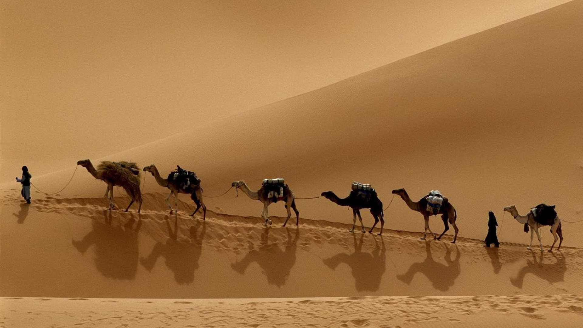 Караван верблюдов Великого шёлкового пути