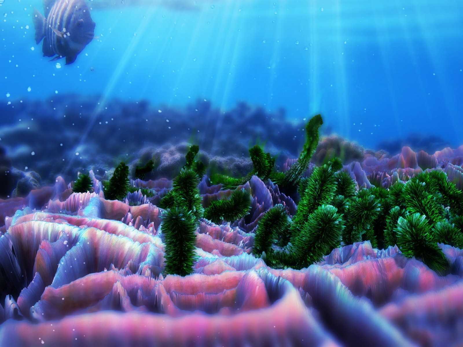 Природа подводный мир. Красивые водоросли. Морское дно. Подводный мир. Дно океана.