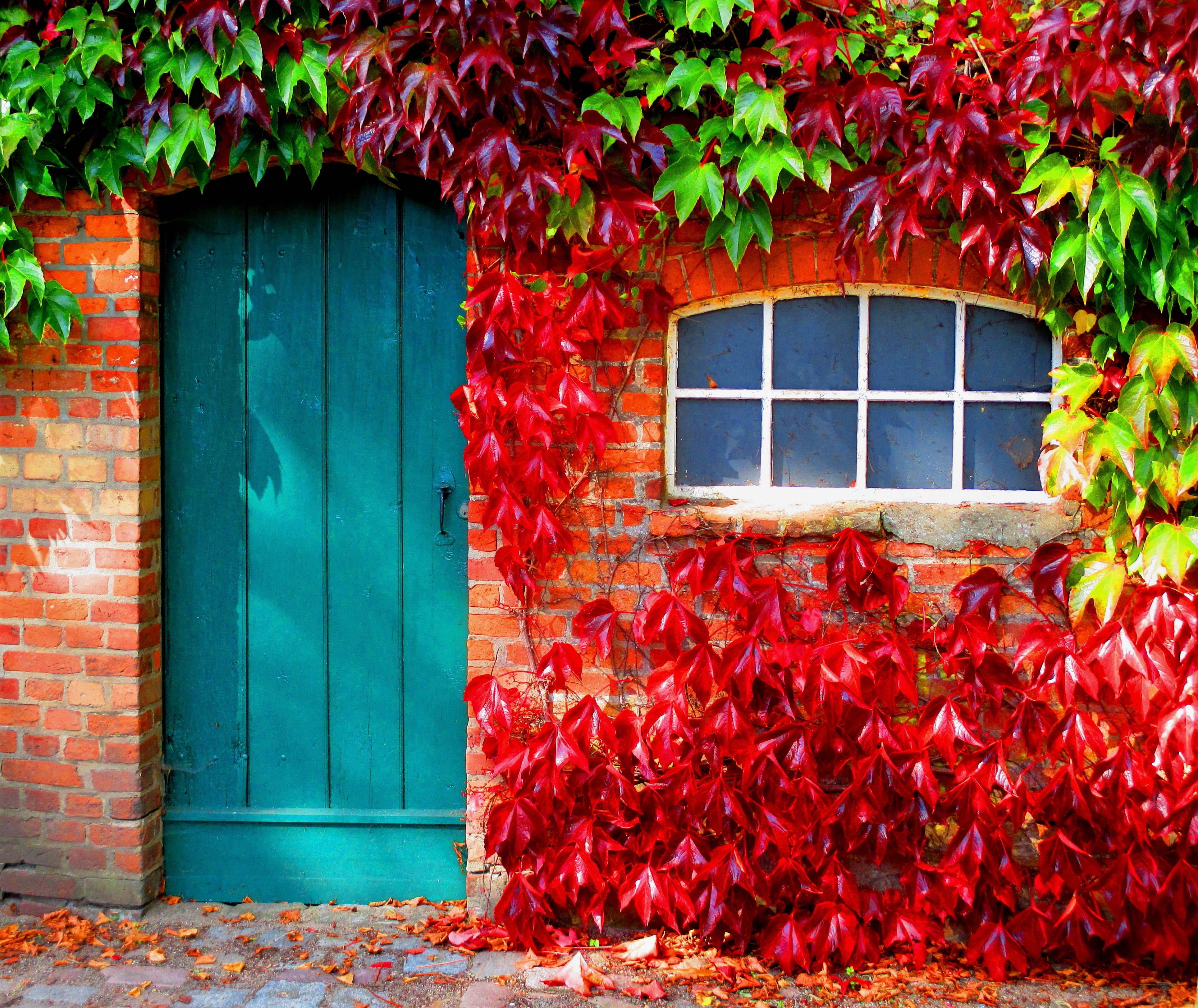 1920 x 1080 picture door, man made, brick, fall, house, ivy