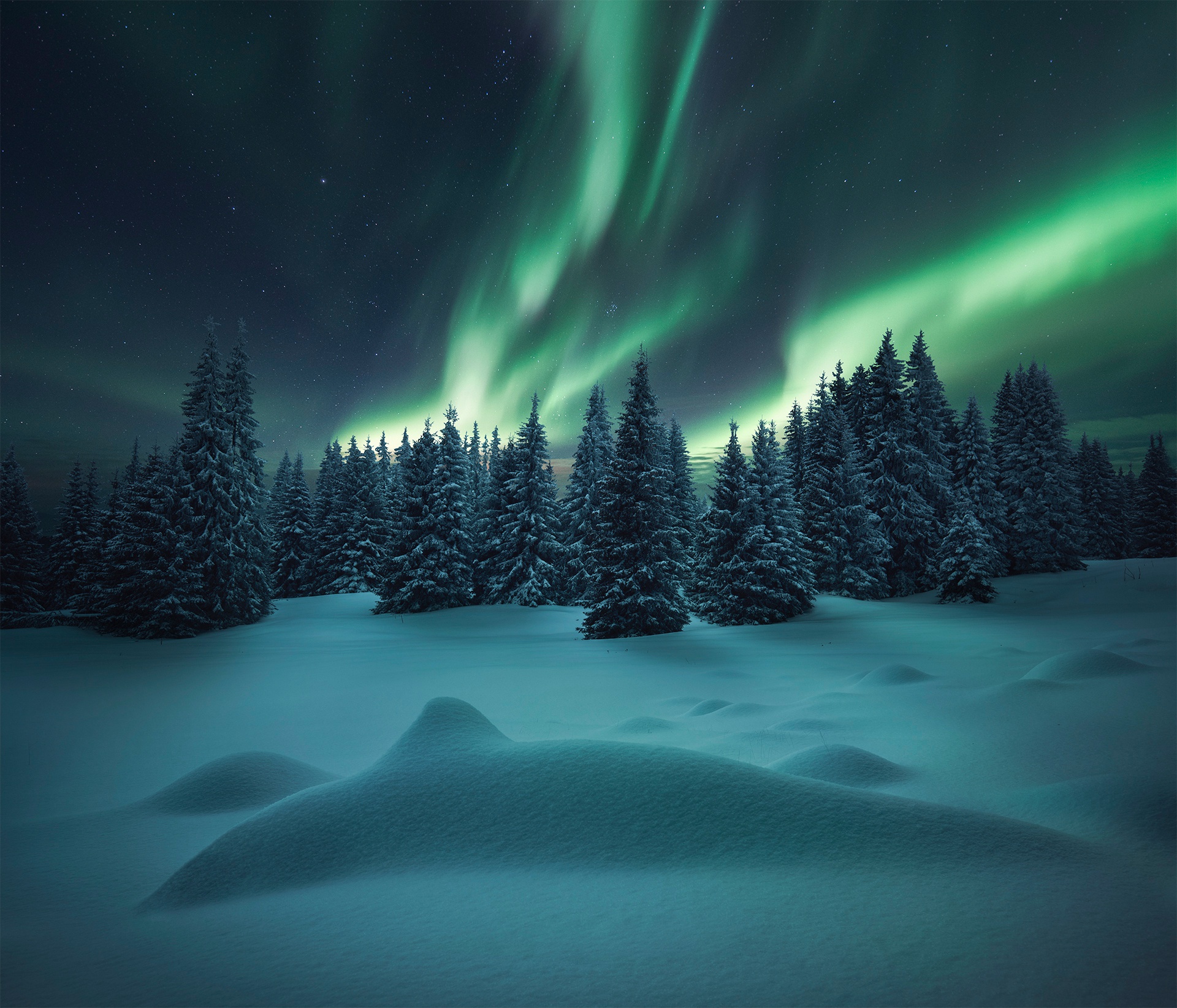 Скачать картинку Зима, Природа, Небо, Ночь, Снег, Дерево, Северное Сияние, Земля/природа в телефон бесплатно.