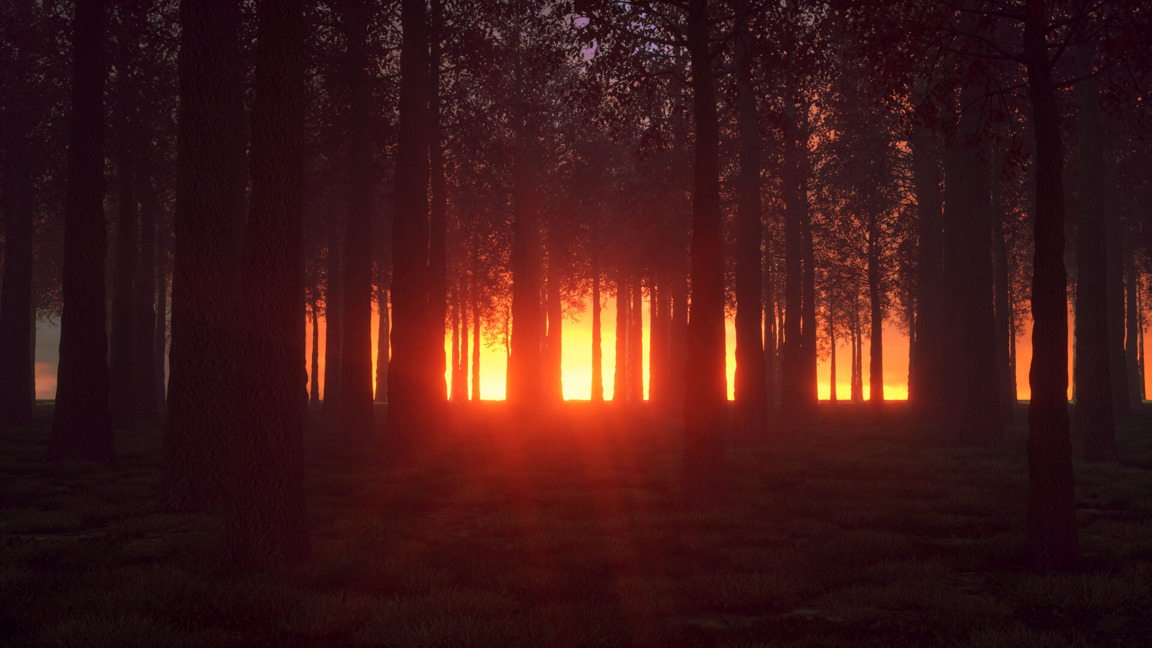 Атмосферный ночной лес