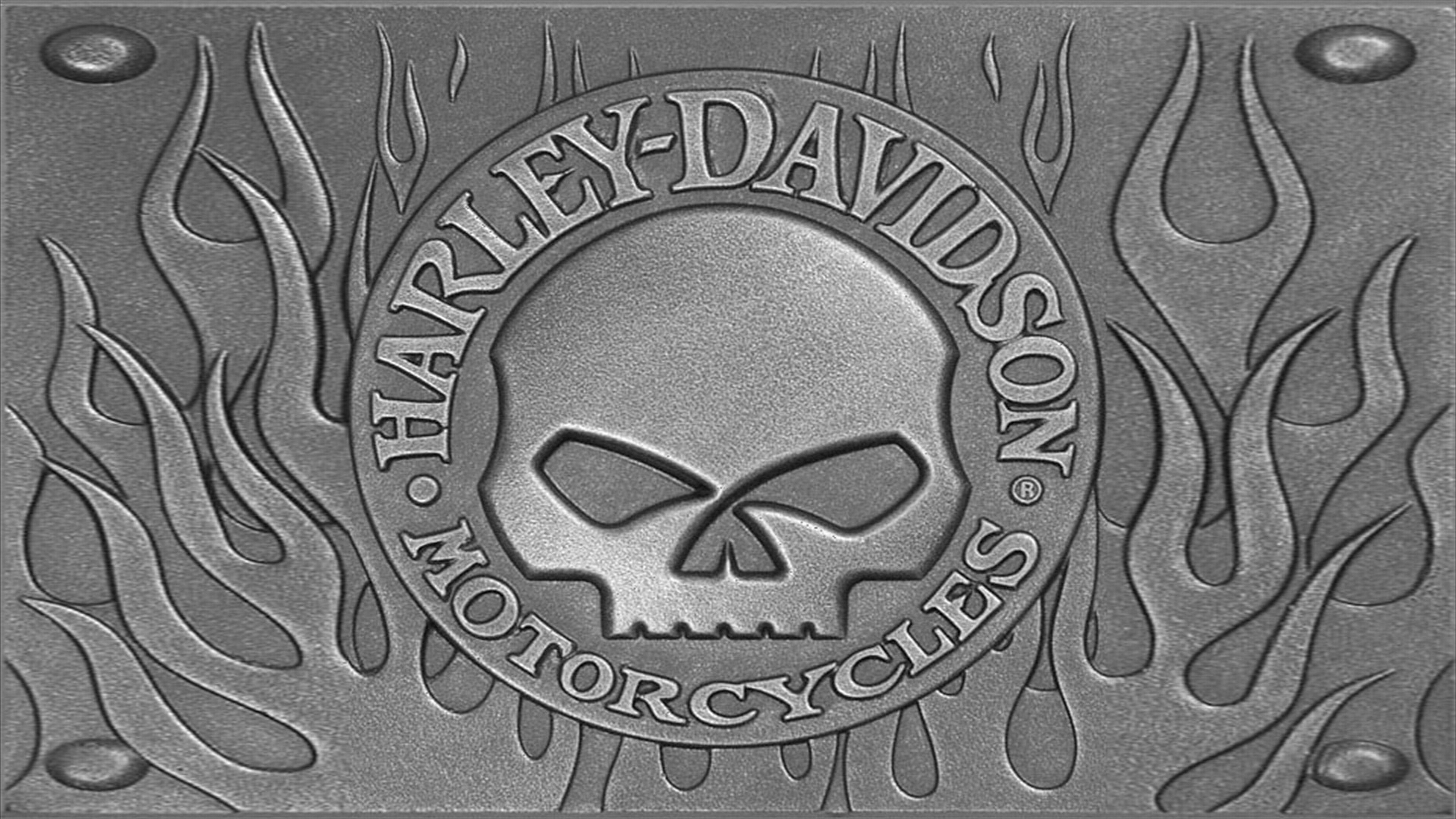 harley davidson, vehicles, motorcycles