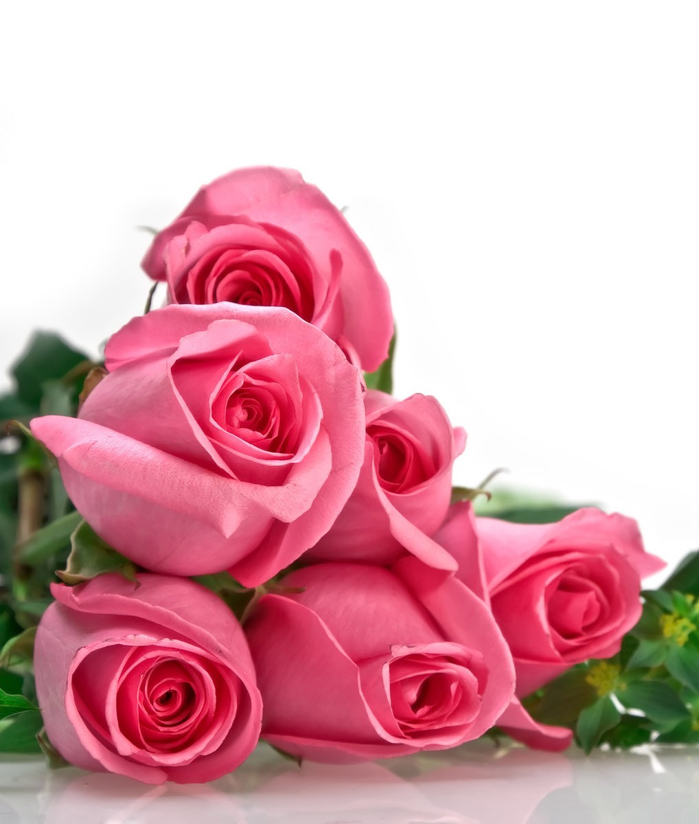 9654 завантажити шпалери 8 березня, квіти, свята, рослини, рози, червоний - заставки і картинки безкоштовно