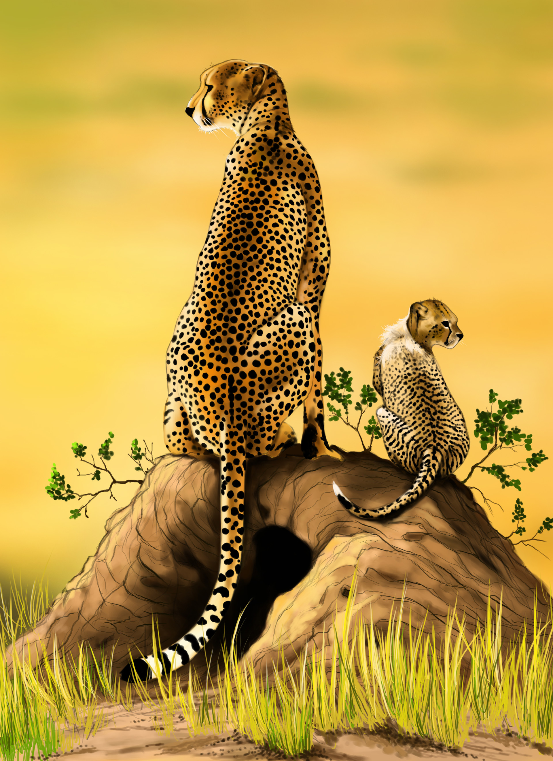 art, cheetah, joey, young, predator, big cat iphone wallpaper