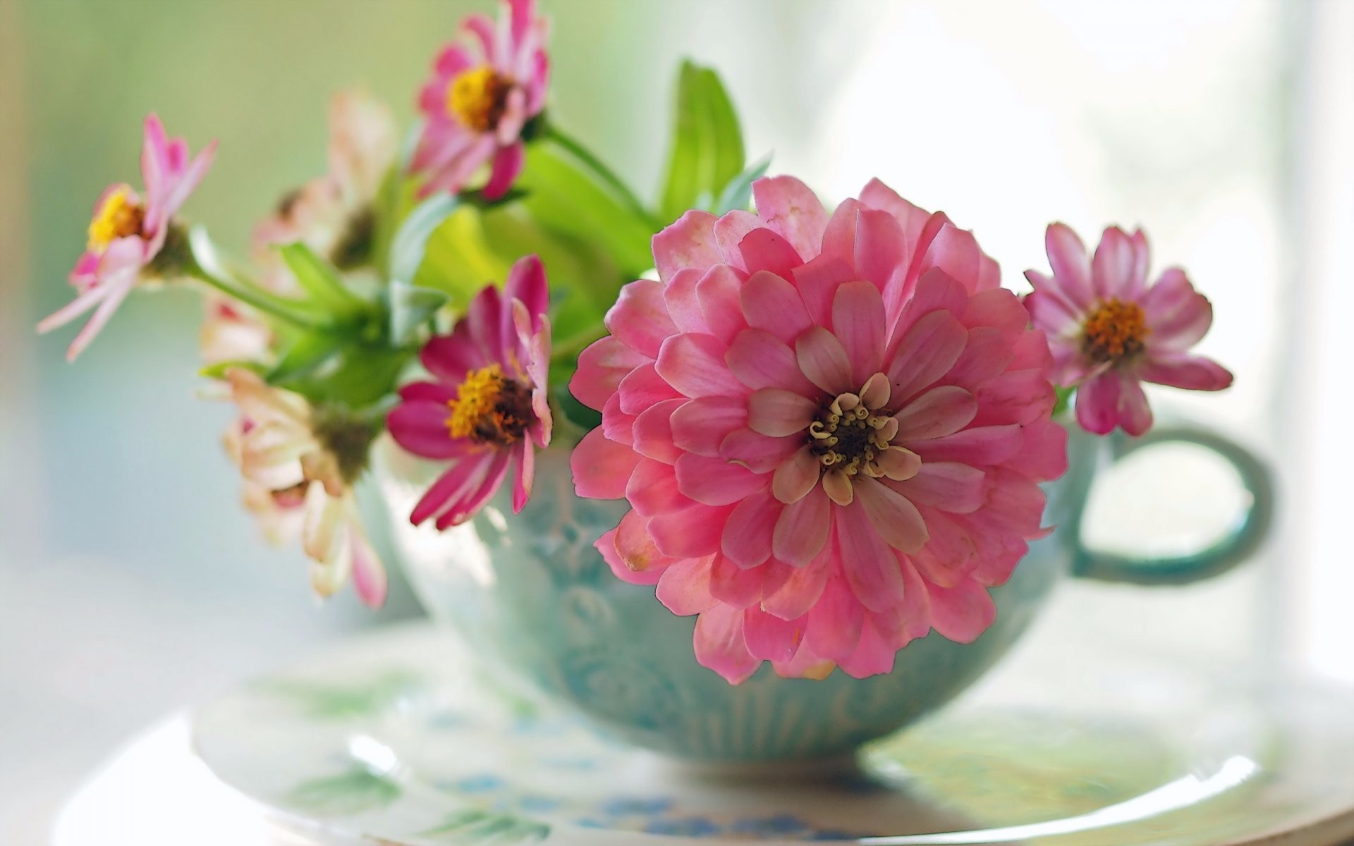 Download mobile wallpaper Still Life, Flower, Cup, Photography, Pink Flower for free.