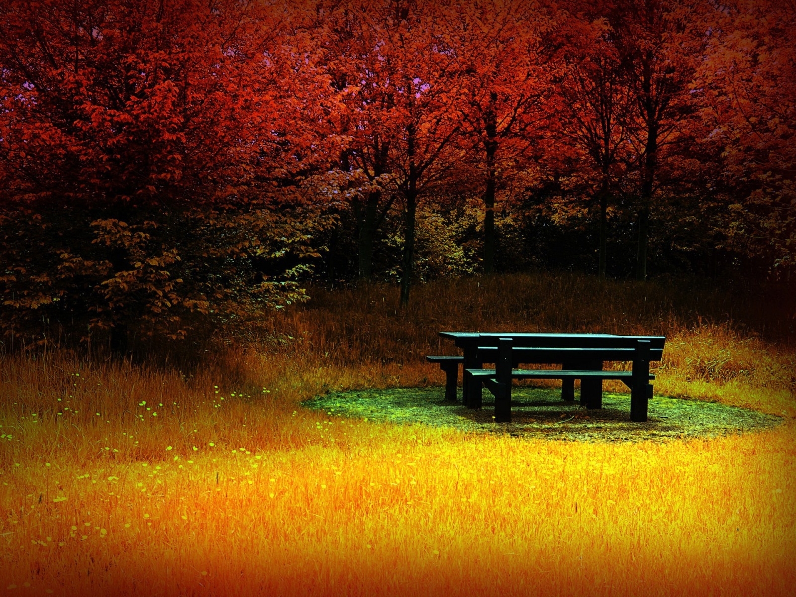 Laden Sie das Landschaft, Bäume, Herbst, Fotokunst-Bild kostenlos auf Ihren PC-Desktop herunter