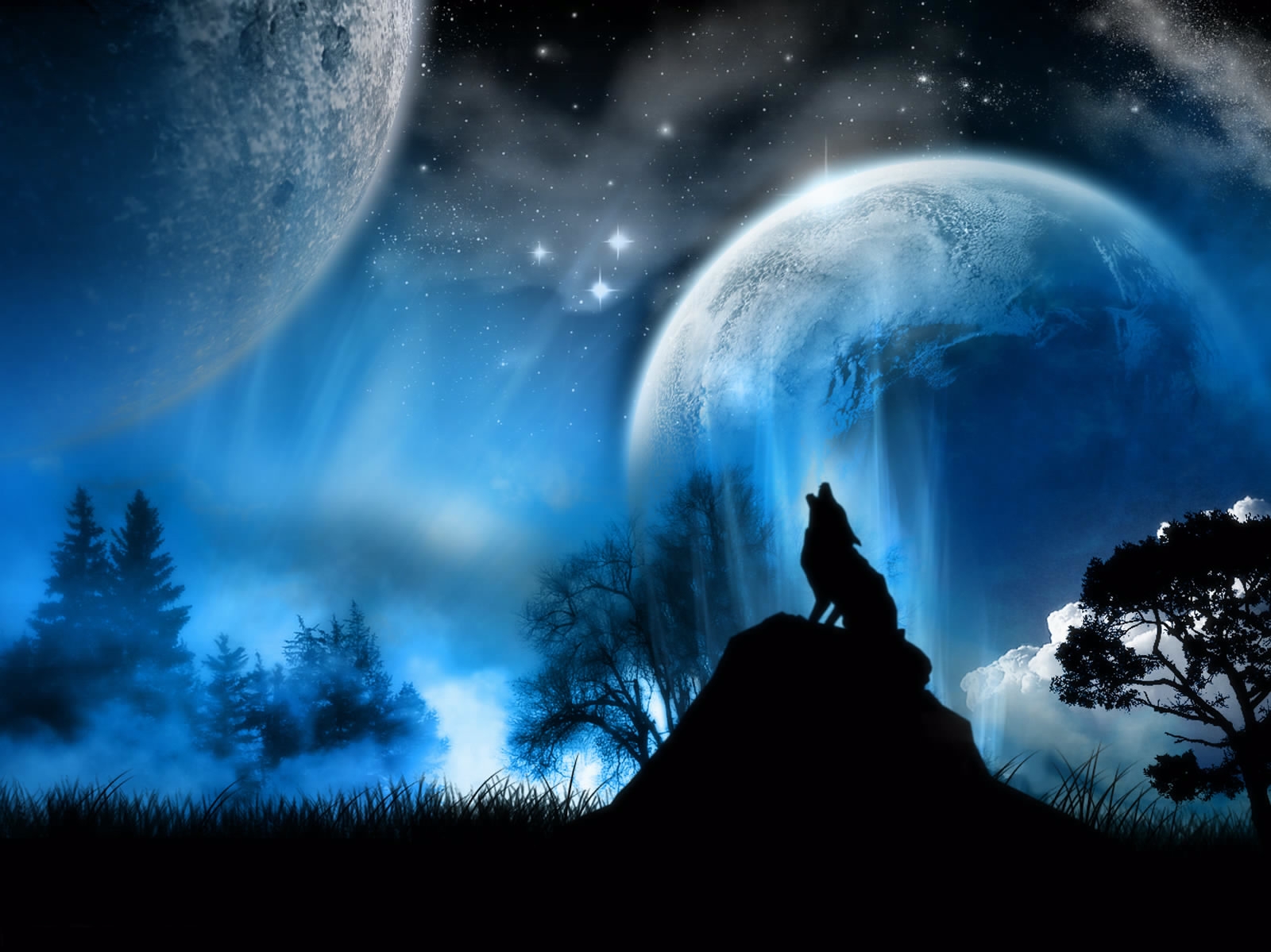 full moon, wolf, fantasy, nature 5K