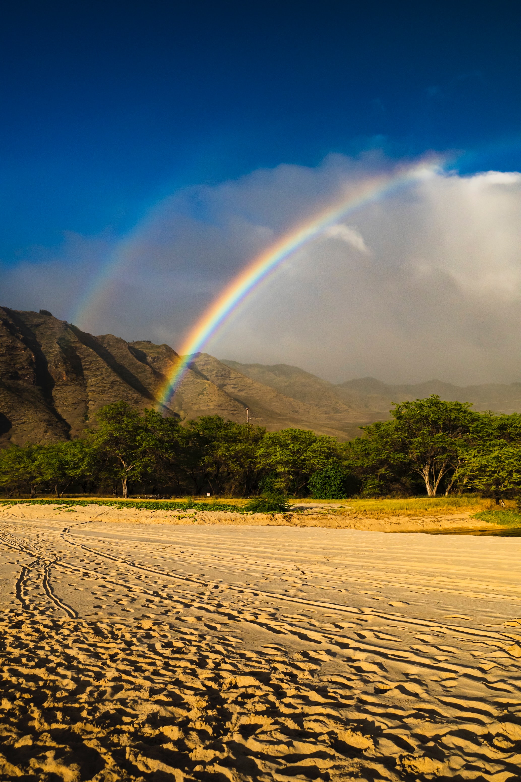 rainbow, sand, nature, trees, beach, mountain UHD