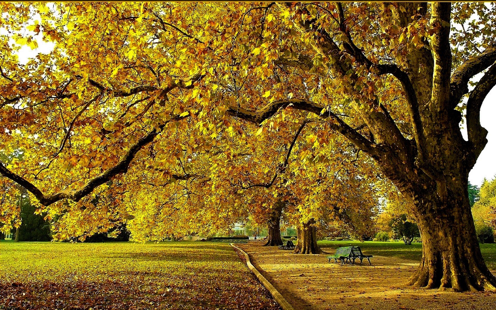 1504525 descargar imagen fotografía, parque, mesa de trabajo, otoño, árbol: fondos de pantalla y protectores de pantalla gratis