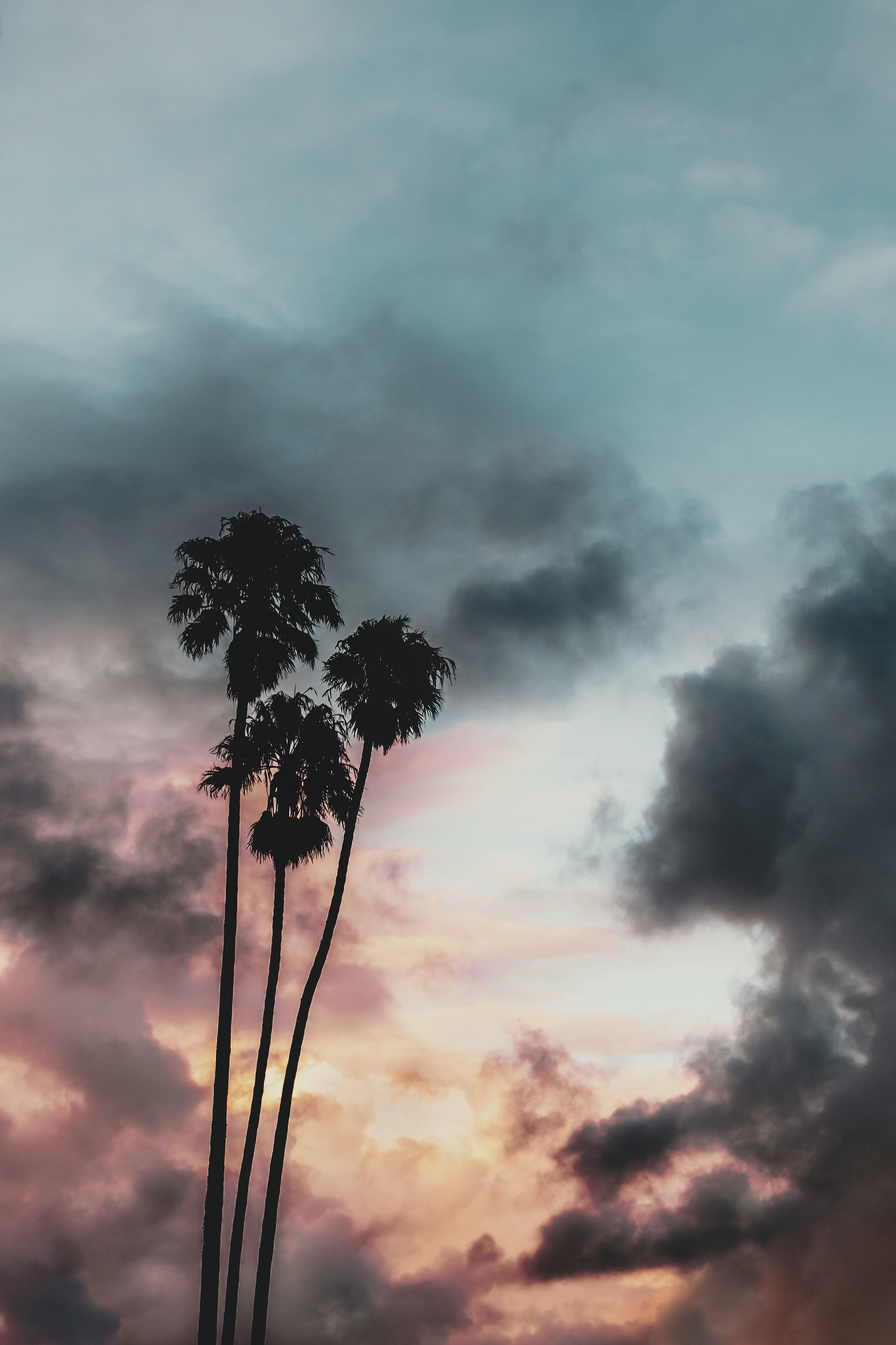 Handy-Wallpaper Sunset, Clouds, Umreißt, Natur, Sky, Umrisse, Tropen, Palms kostenlos herunterladen.