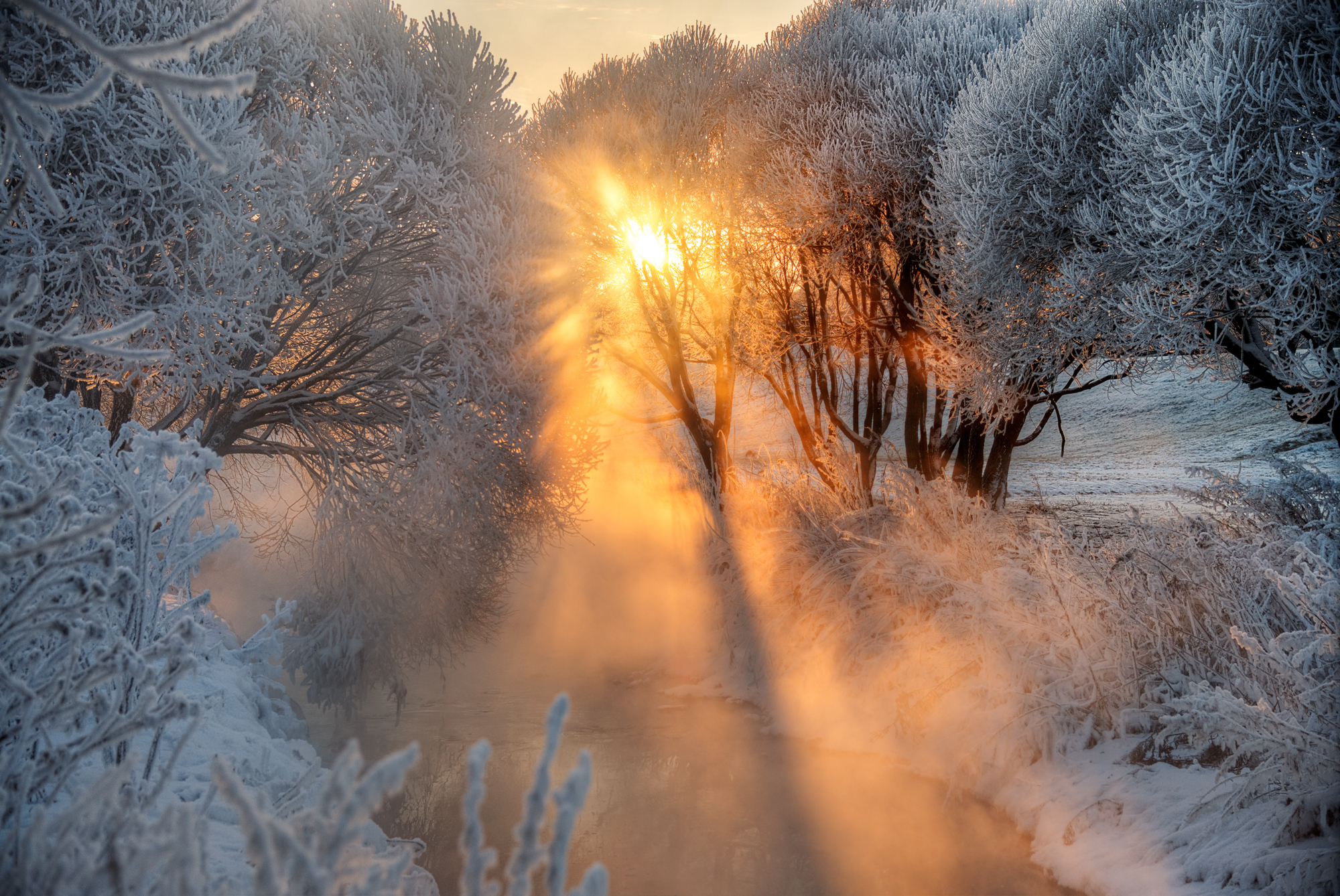 фото утра зимы