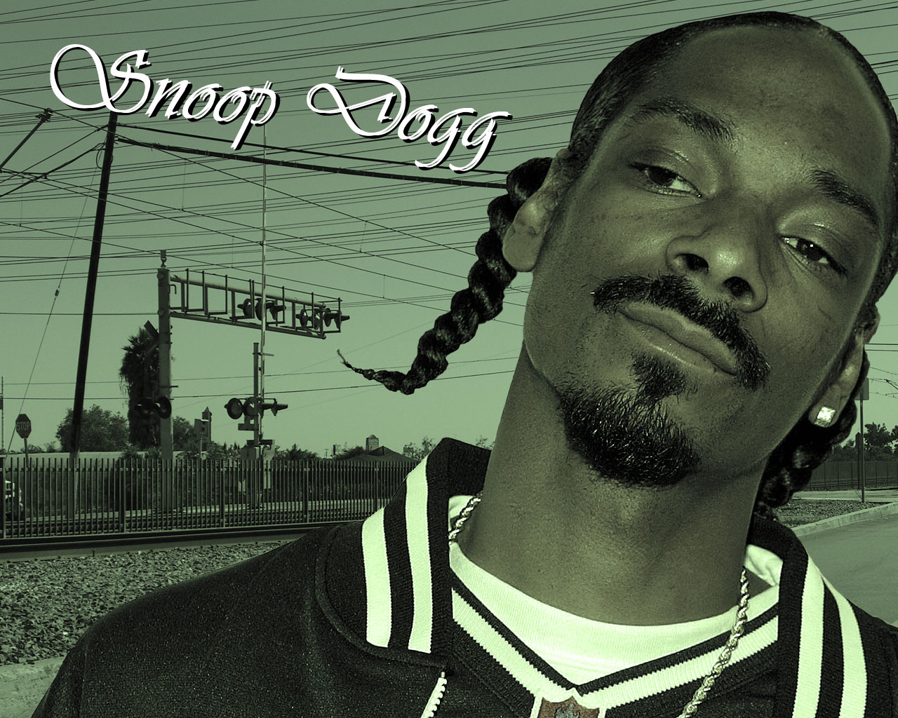 Download Snoop Dogg wallpapers for mobile phone free Snoop Dogg HD  pictures