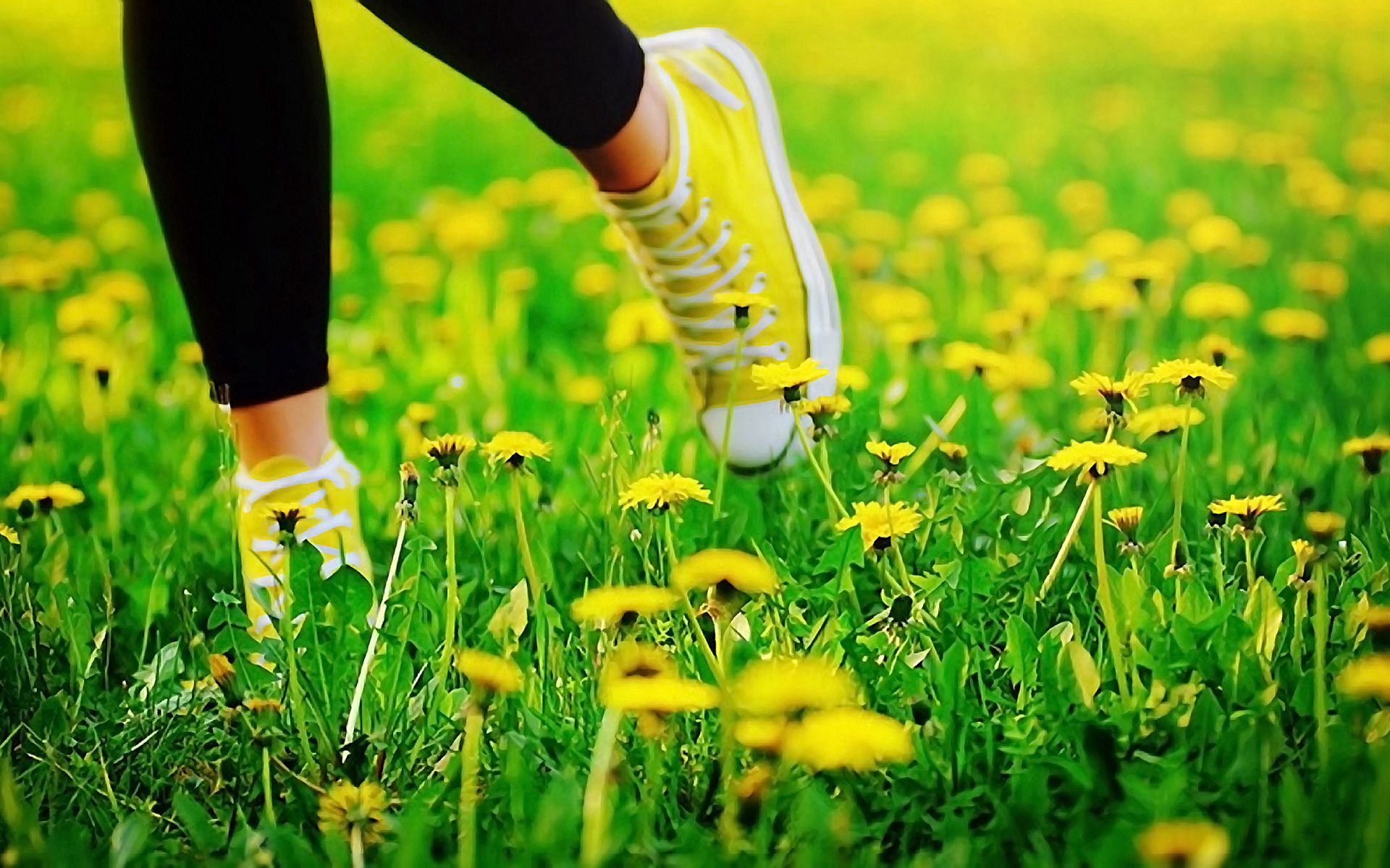 Ноги в кроссовках на траве