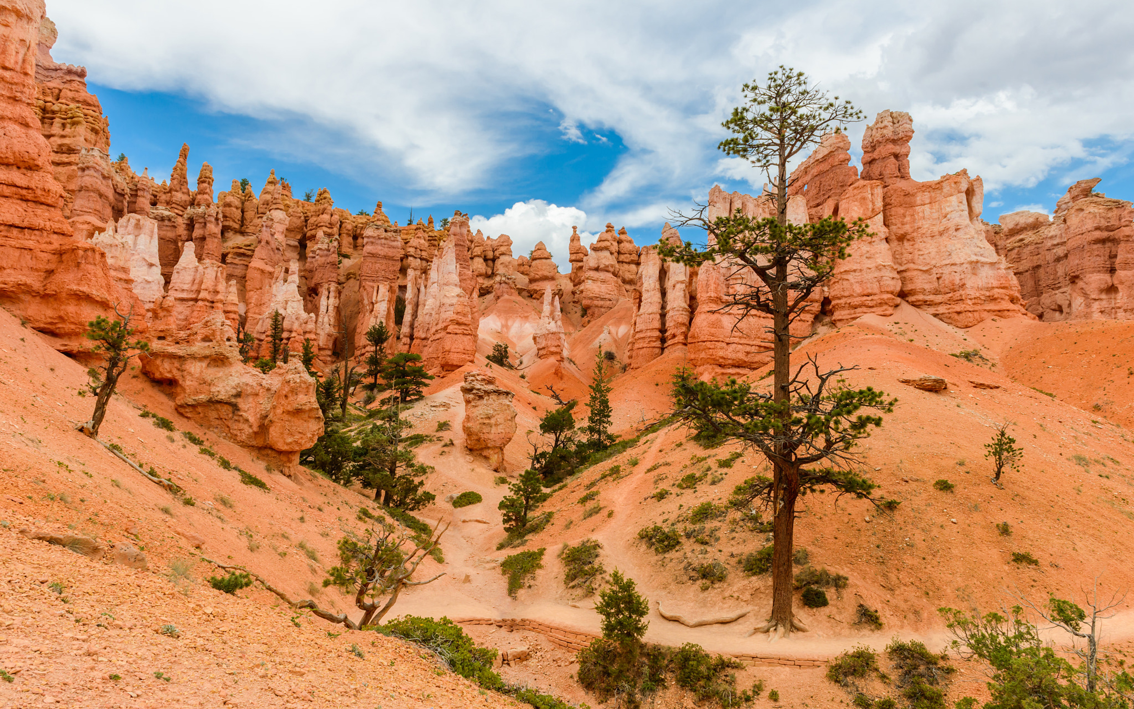 Пустыня национальный парк. Брайс каньон национальный парк. Under Canvas Bryce Canyon, штат Юта. Национальный парк Брайс-каньон на карте. Юта США обои для телефона.