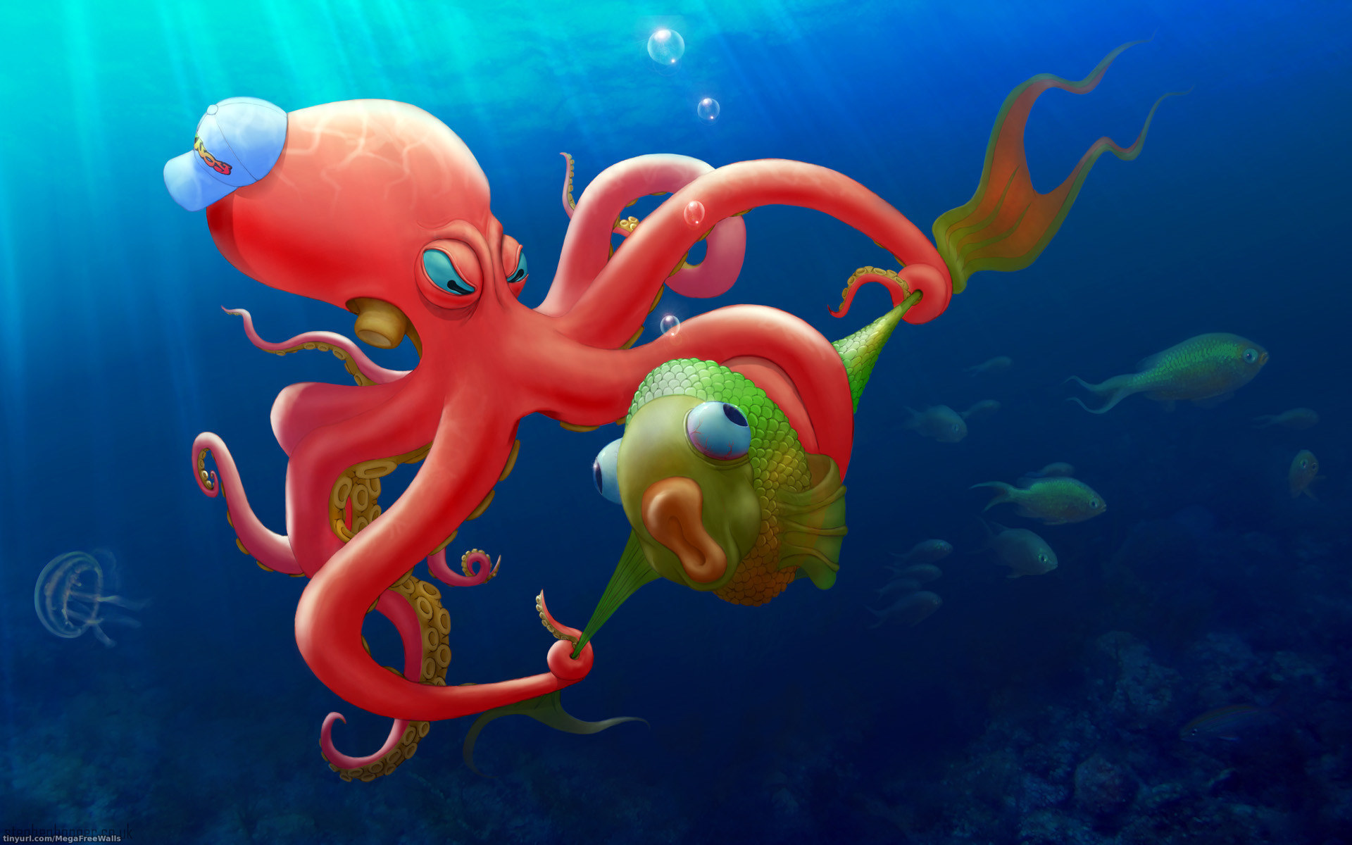 animal, artistic, fish, octopus phone background