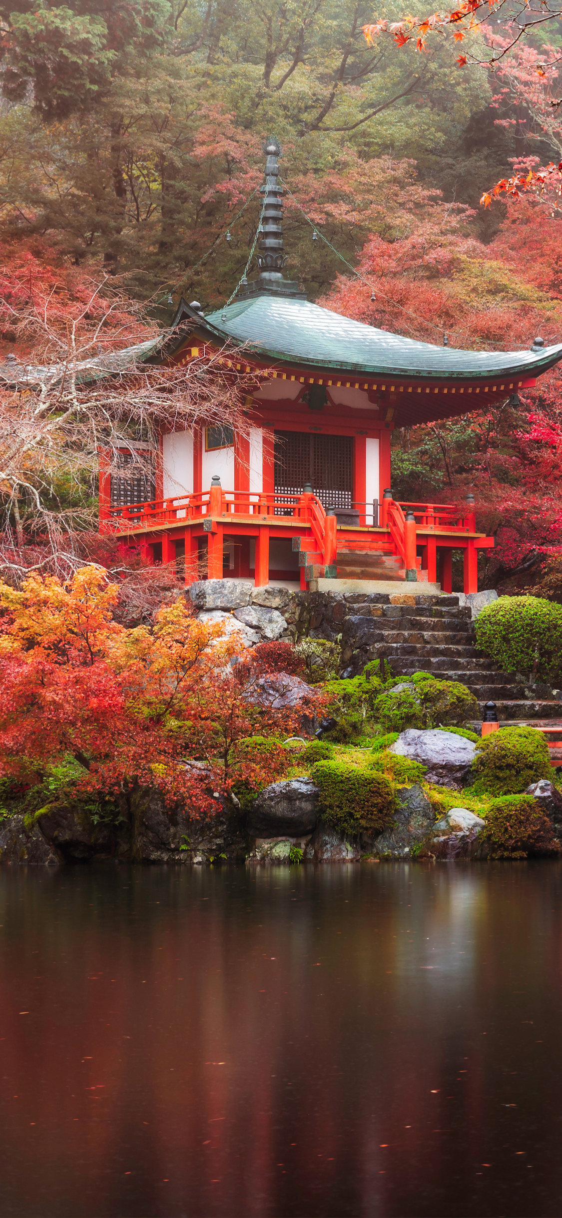 android japan, religious, daigo ji, kyoto, pond, pagoda, park, fall, temples