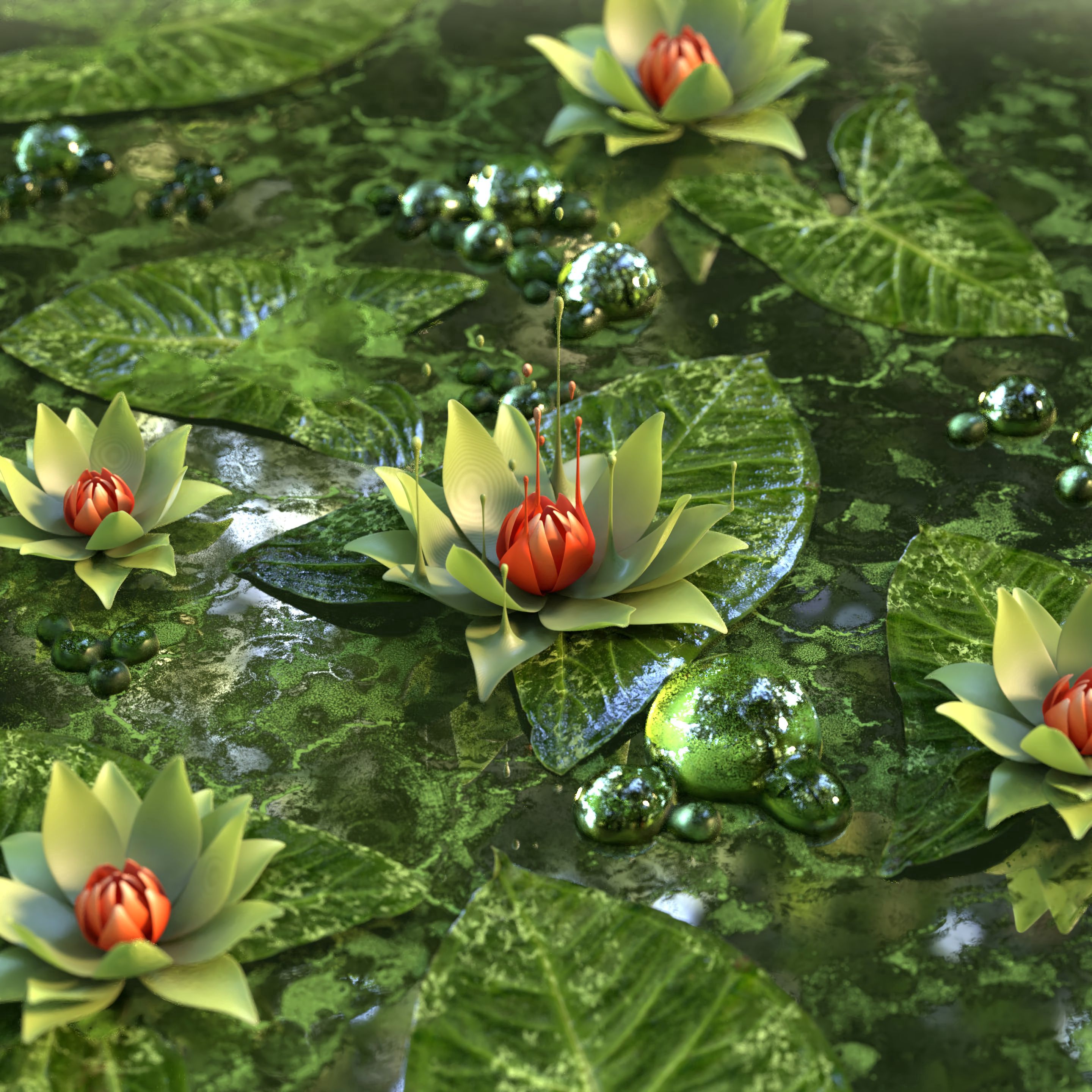 3d, flower, lotus, green, water lily 1080p
