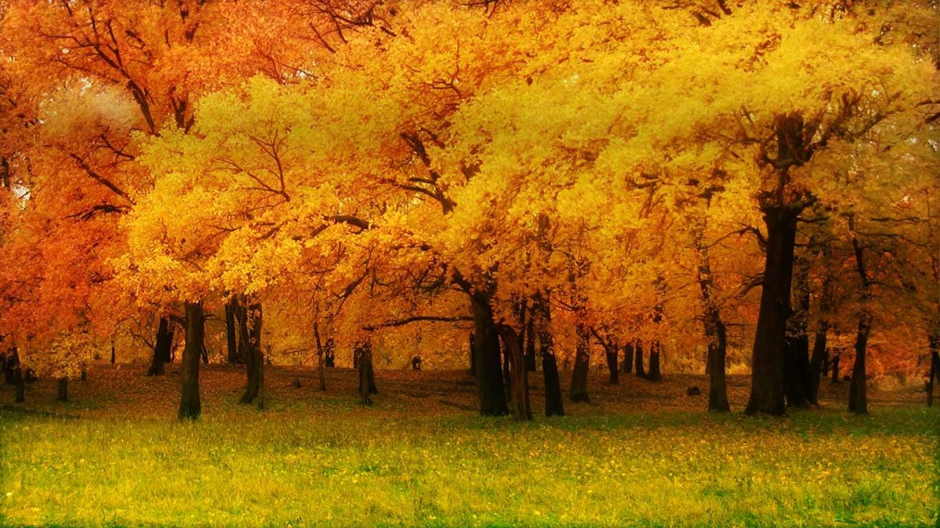 Вивальди природа. Антонио Вивальди осень. Времена года осень. Осень Вивальди картины. Осенний лес Самара.