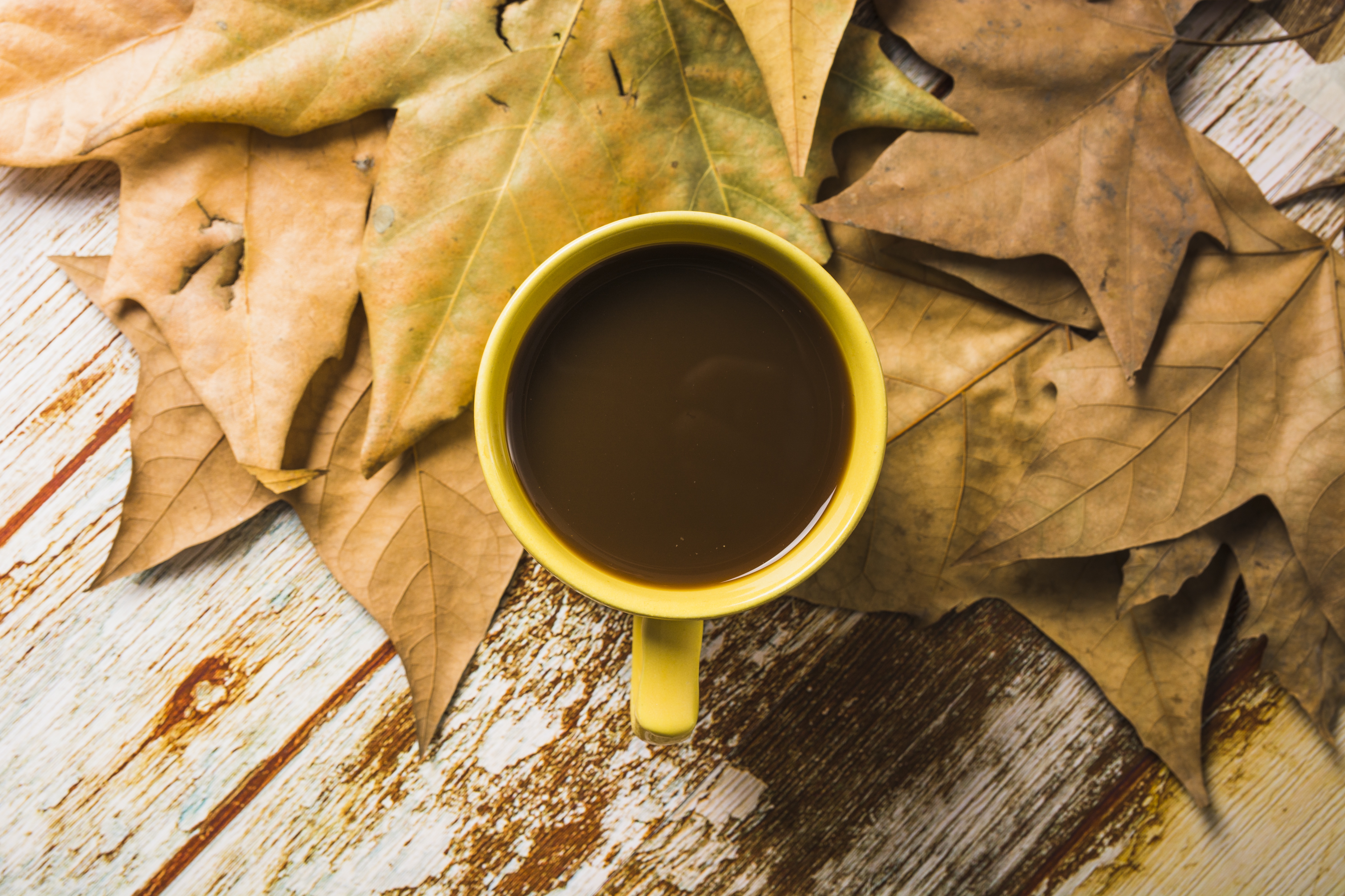 Free download wallpaper Food, Coffee, Still Life, Cup, Leaf on your PC desktop